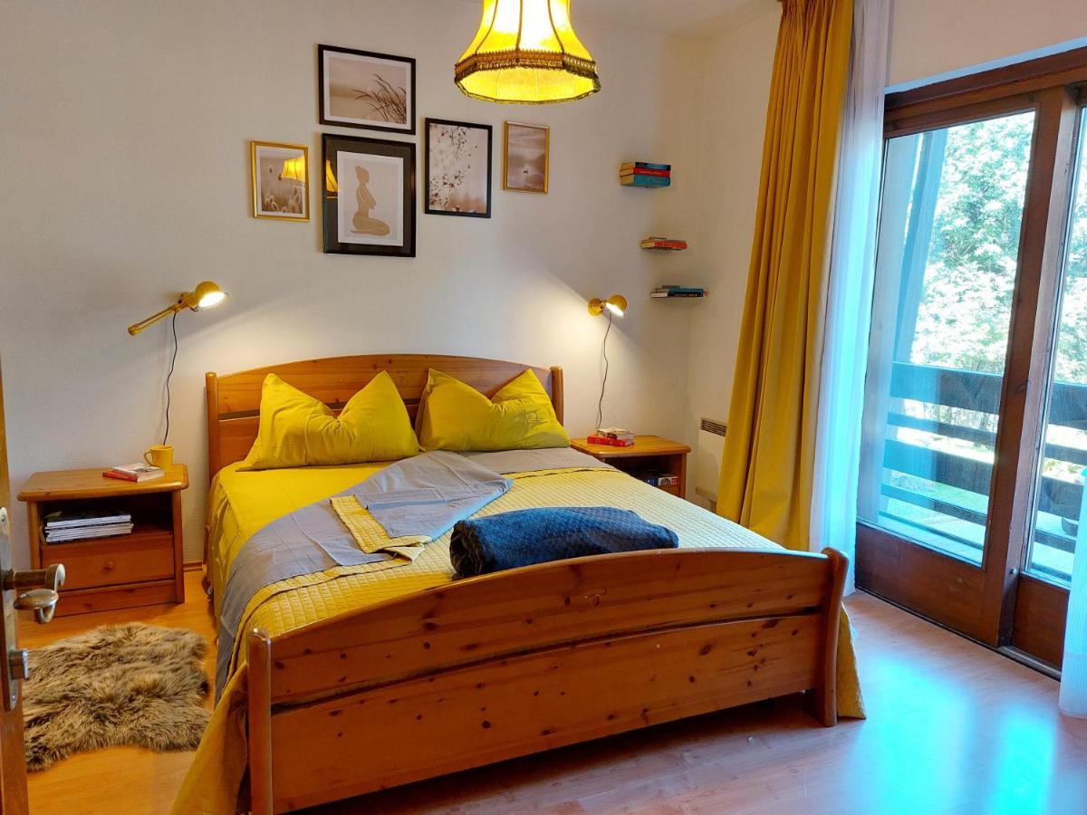Ski-to-door apartment Waldrand