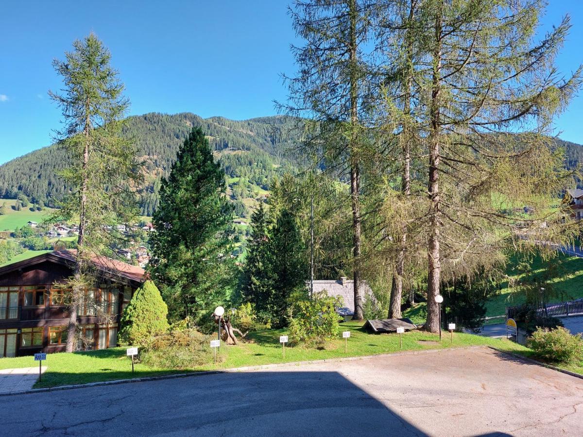 Ski-to-door apartment Waldrand