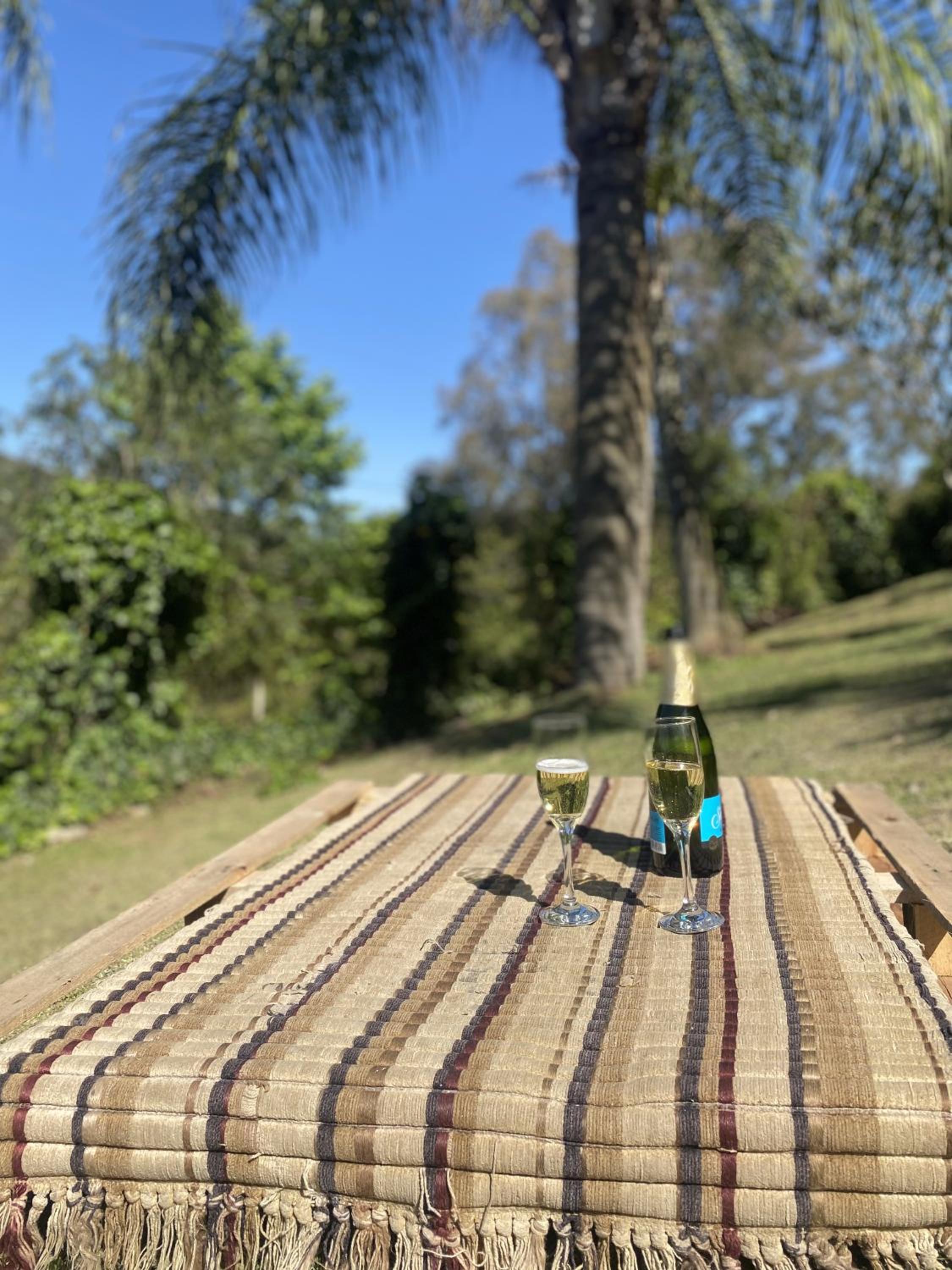 Sítio dos Coqueiros, em meio a natureza com piscina