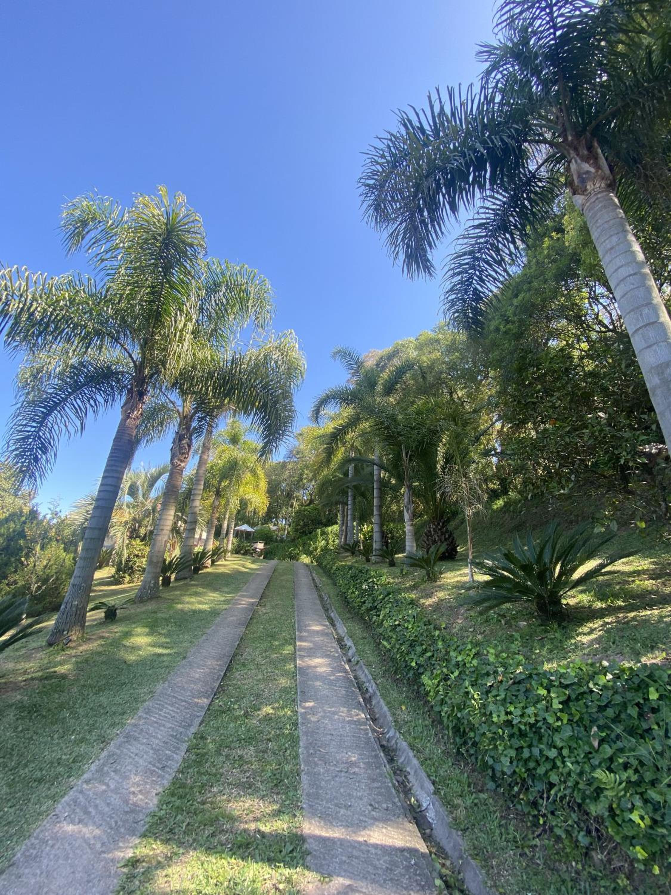Sítio dos Coqueiros, em meio a natureza com piscina