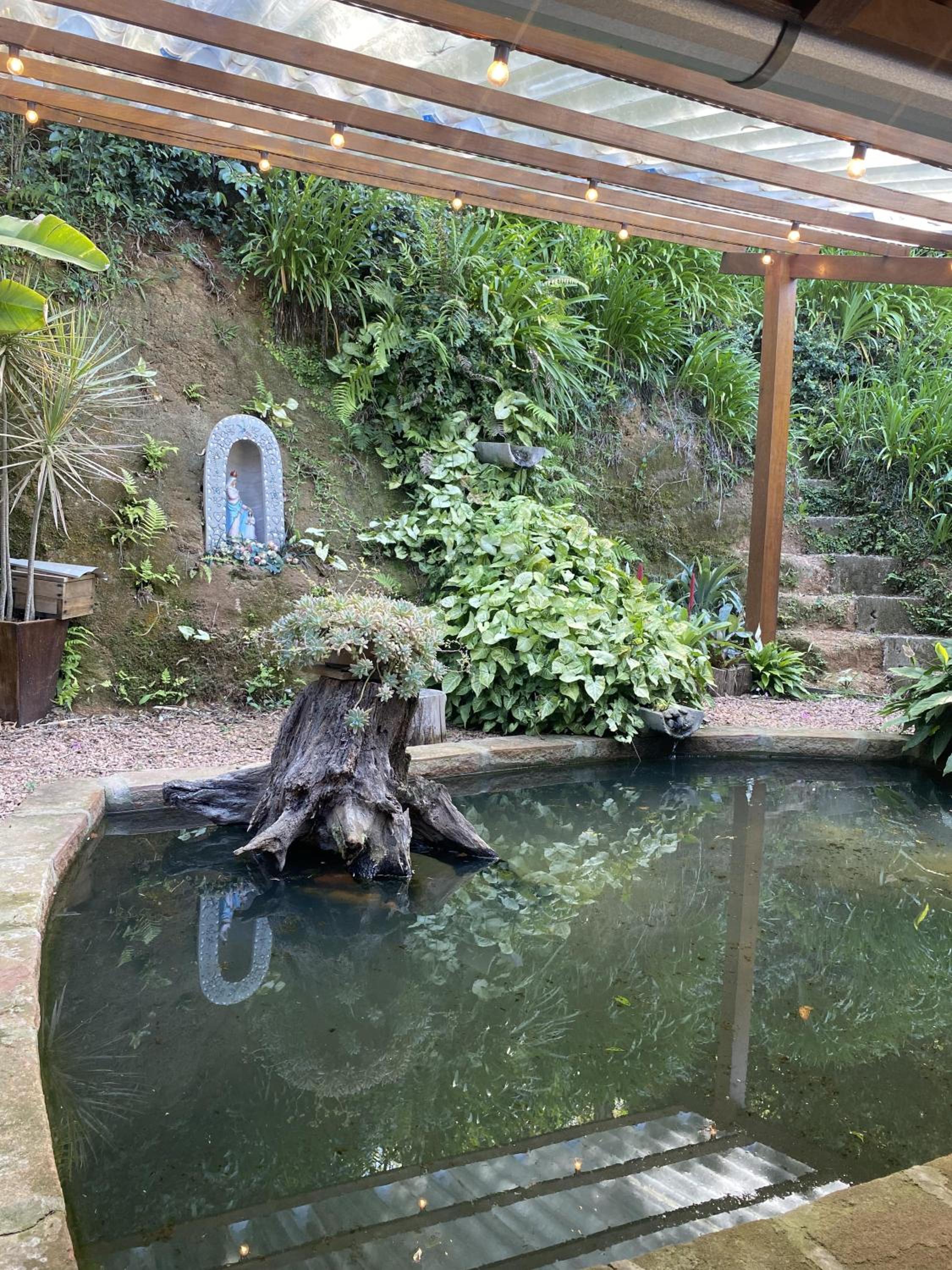 Sítio dos Coqueiros, em meio a natureza com piscina
