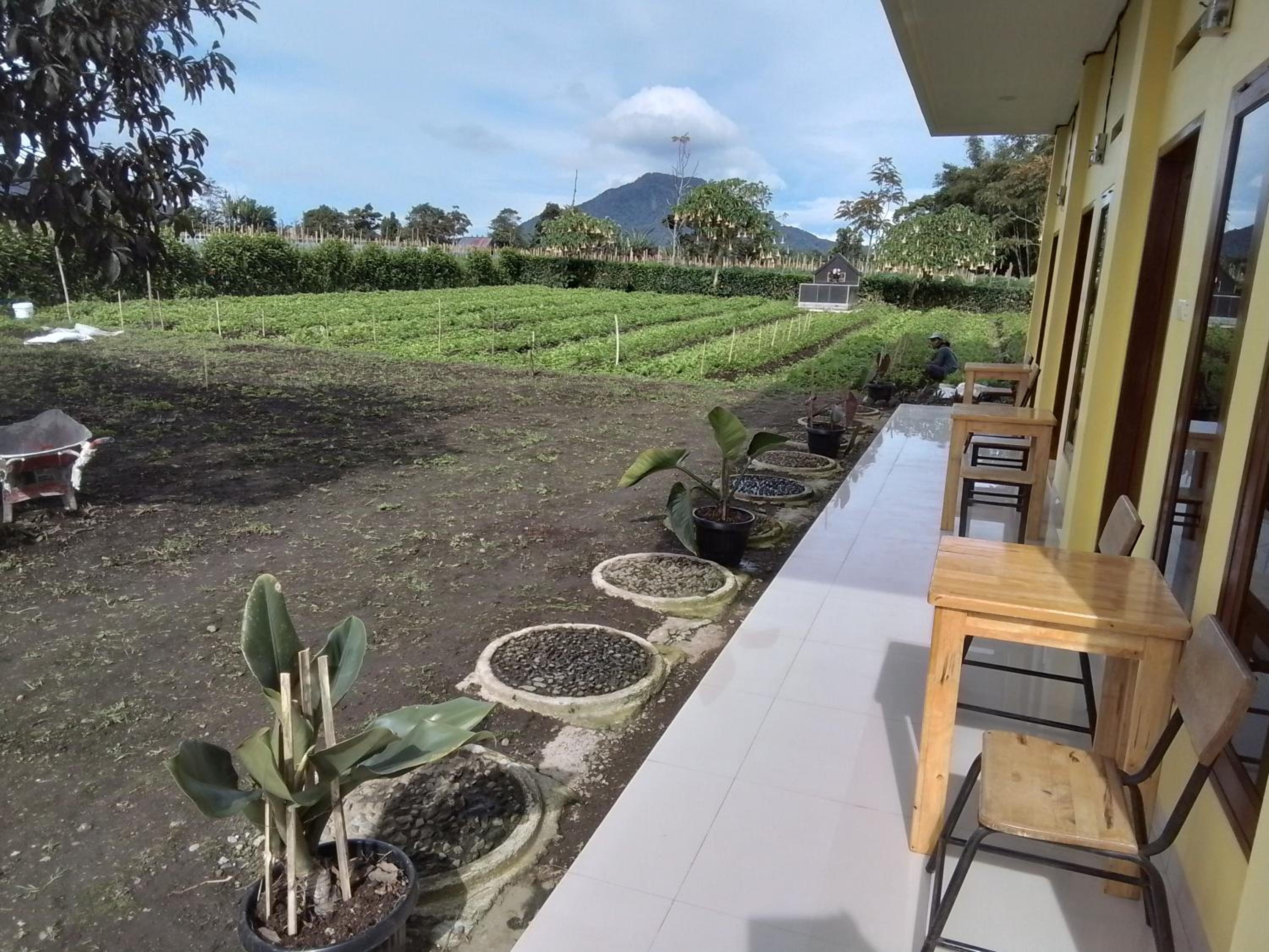 Berastagi Mountain View Homestay & Pizzeria