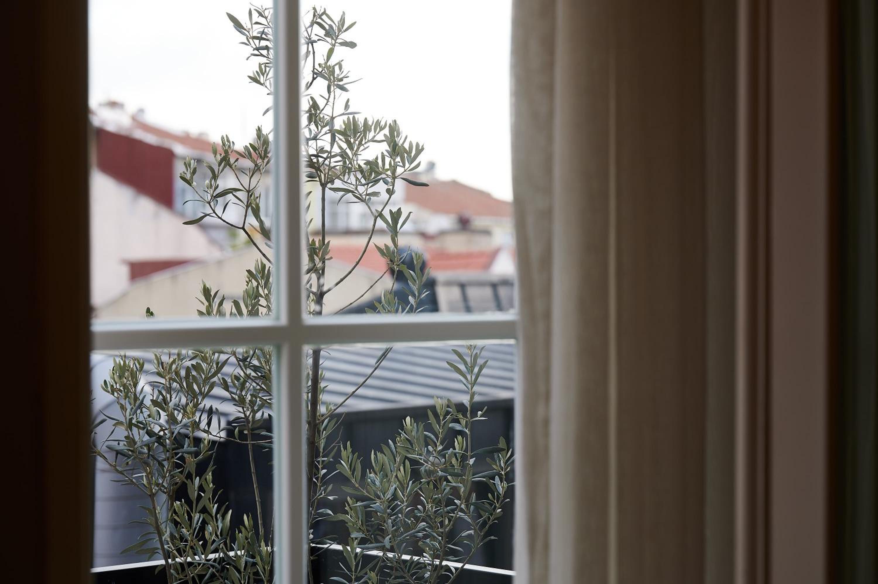 Faik Pasha Otelleri Özel Kategori Beyoğlu İstanbul - Image 38