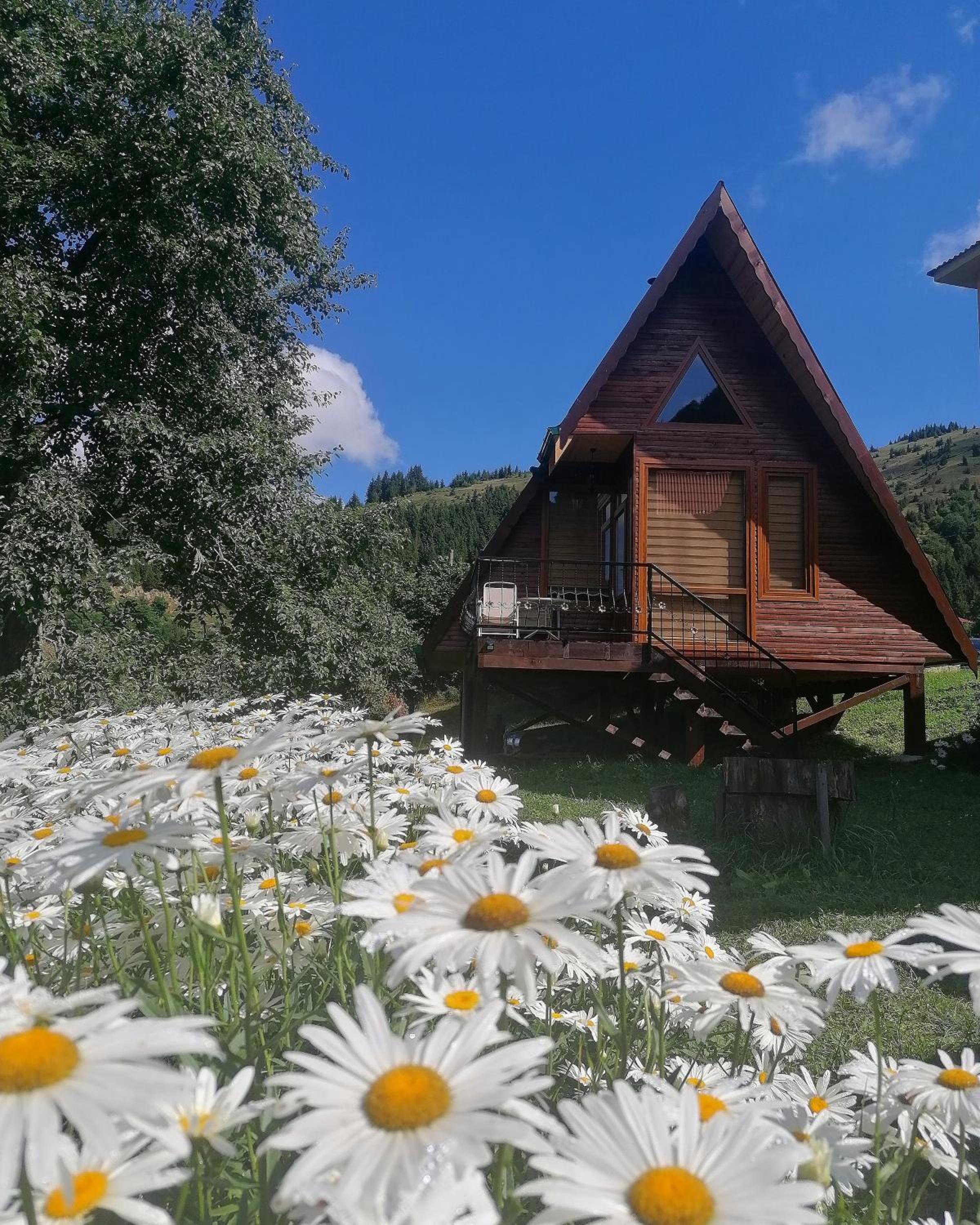 Süllü Dağ Evi