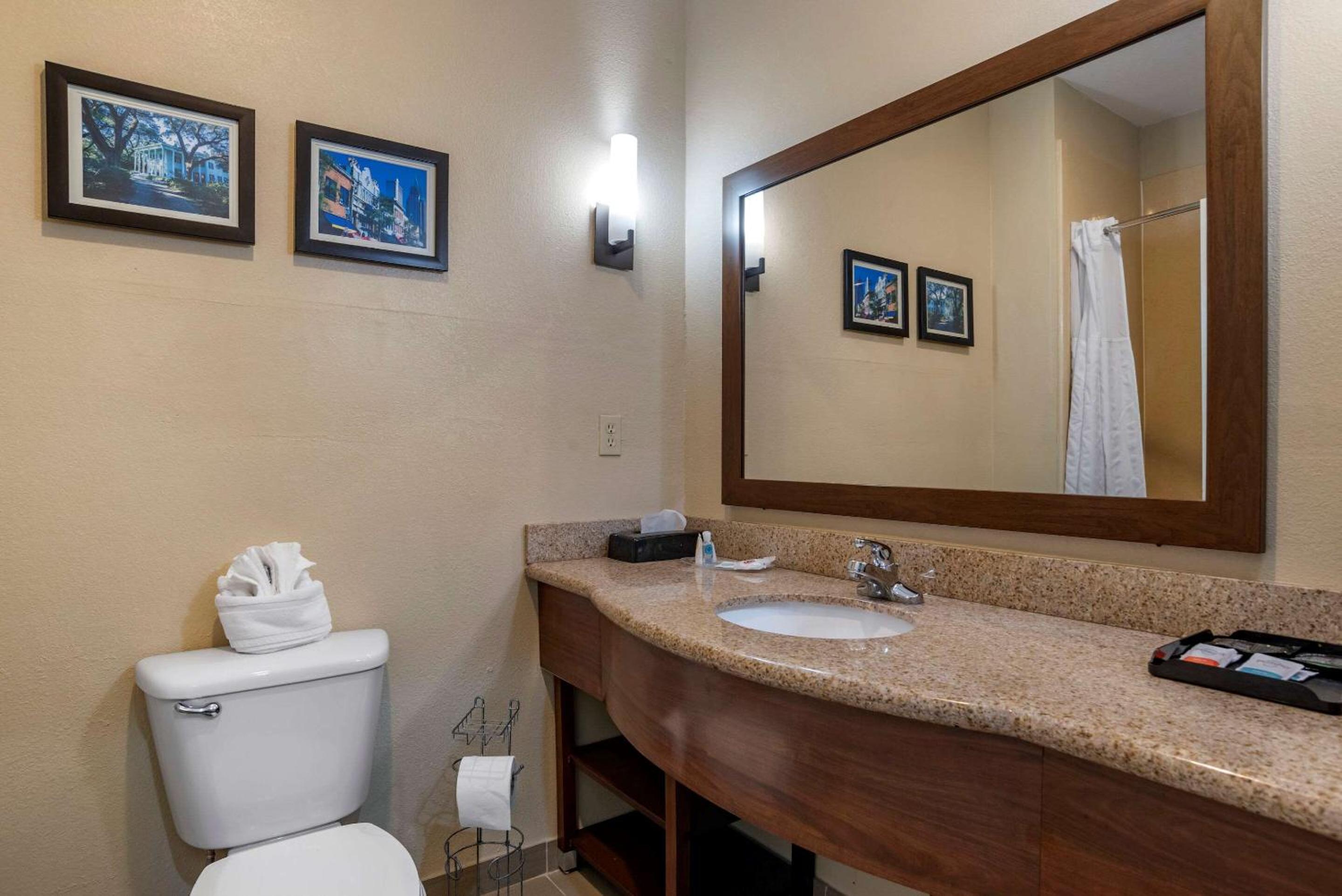 Comfort Suites Mobile West Tillmans Corner, Billede 10