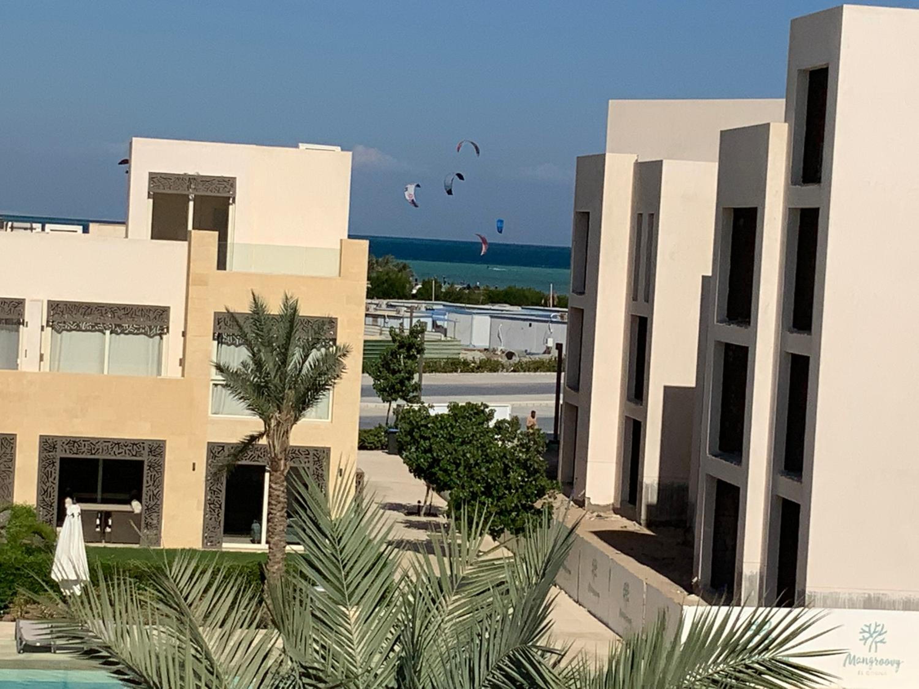 Elgouna Hurghada egypt mangroovy