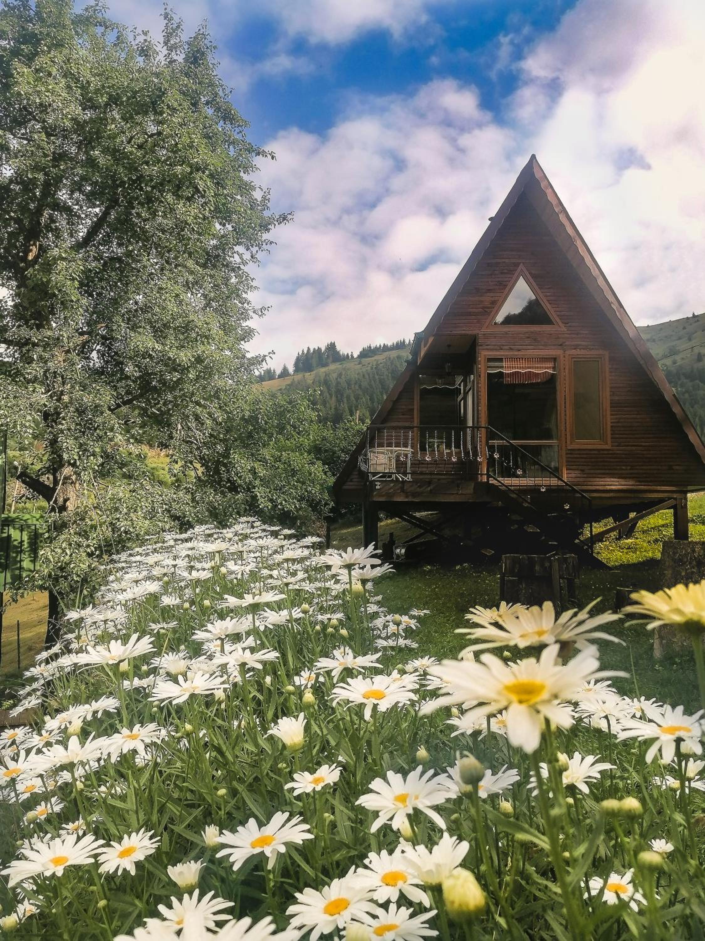 Süllü Dağ Evi