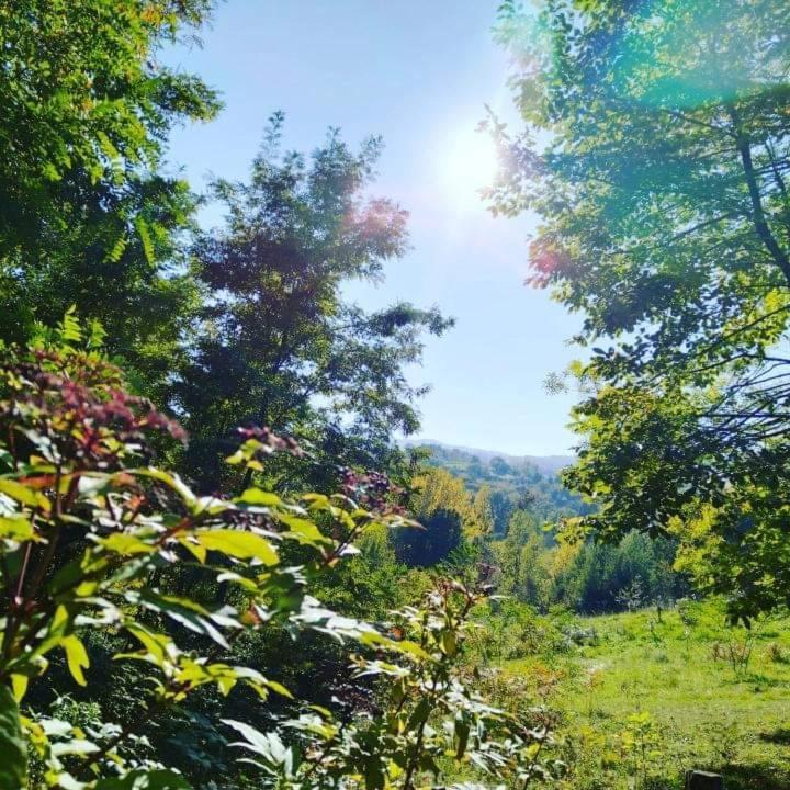 Kuća za odmor Vilin vrt Vrnjacka Banja Otroci view 2