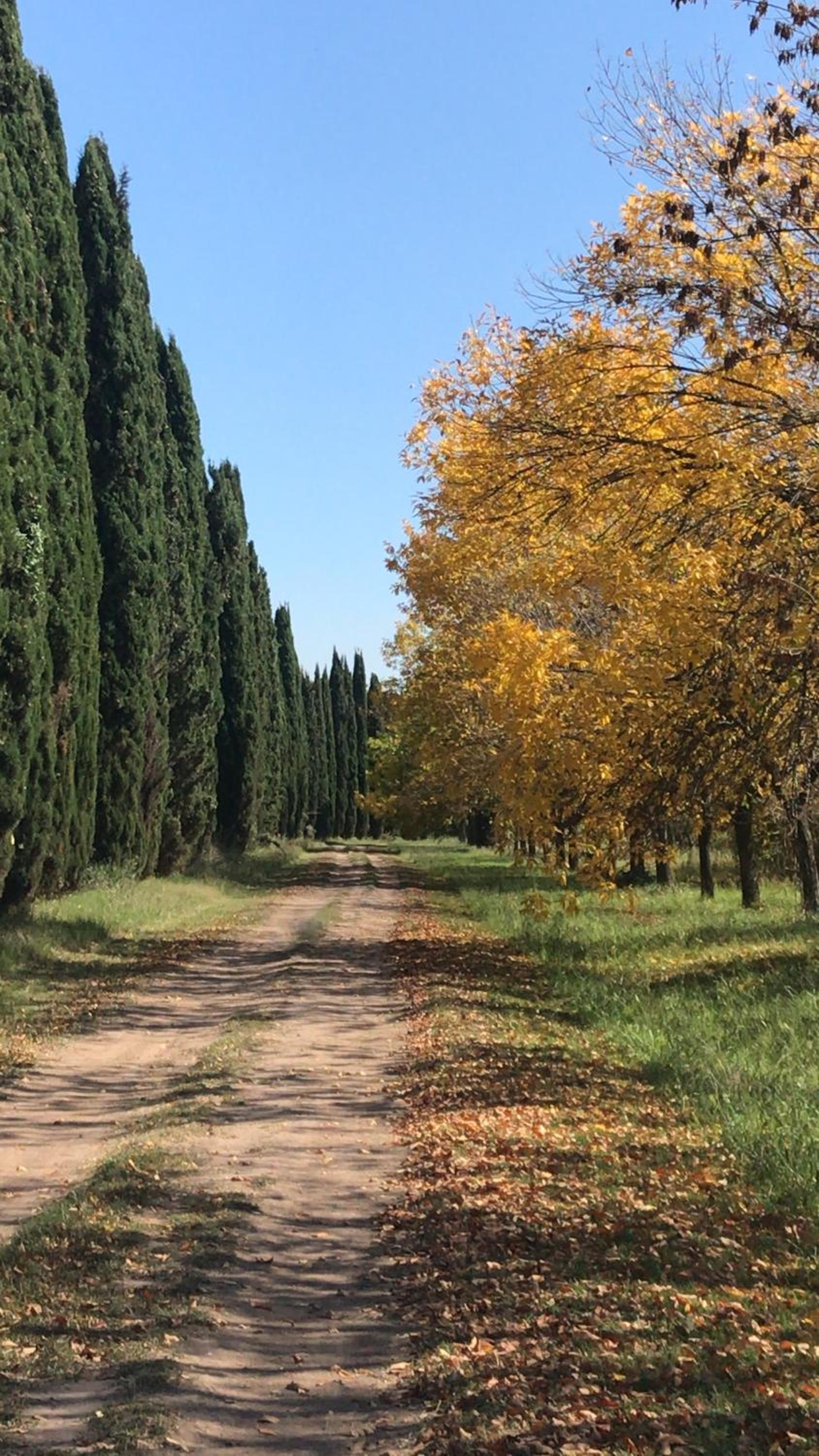 Capilla-Casa de campo