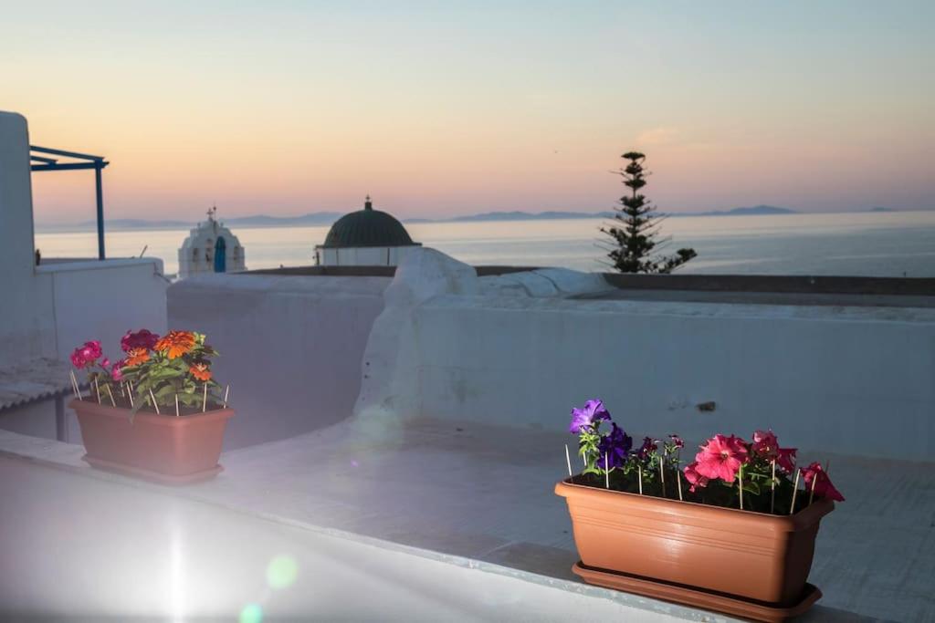 Cycladic sea view house near the Castle