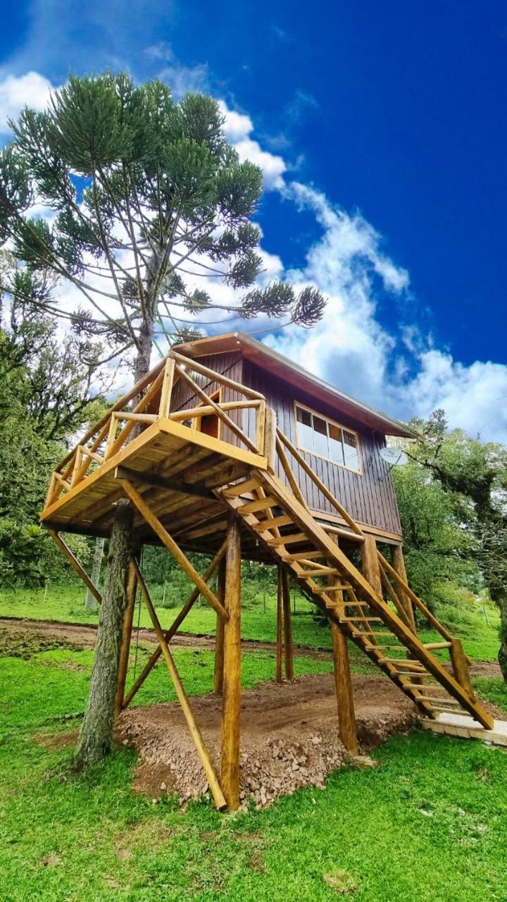 children's play area