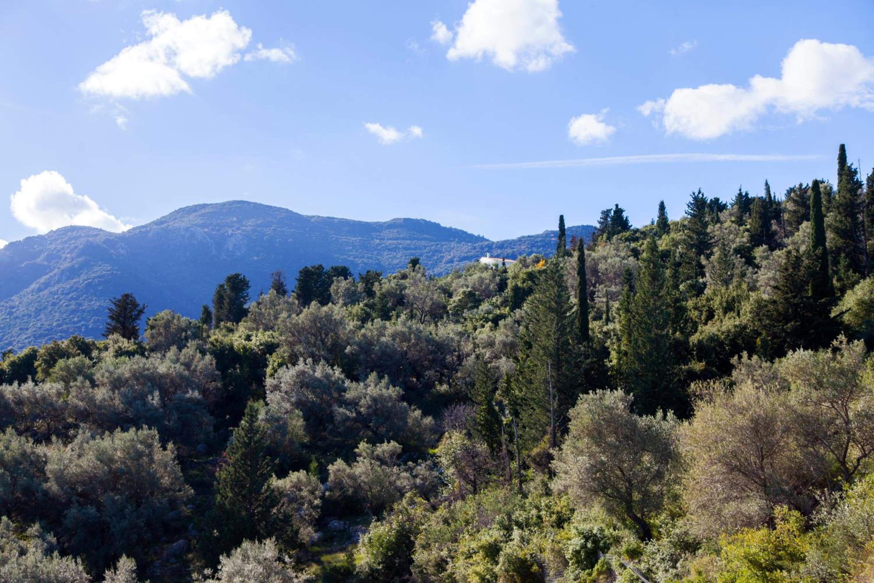 Panorama Ionian View