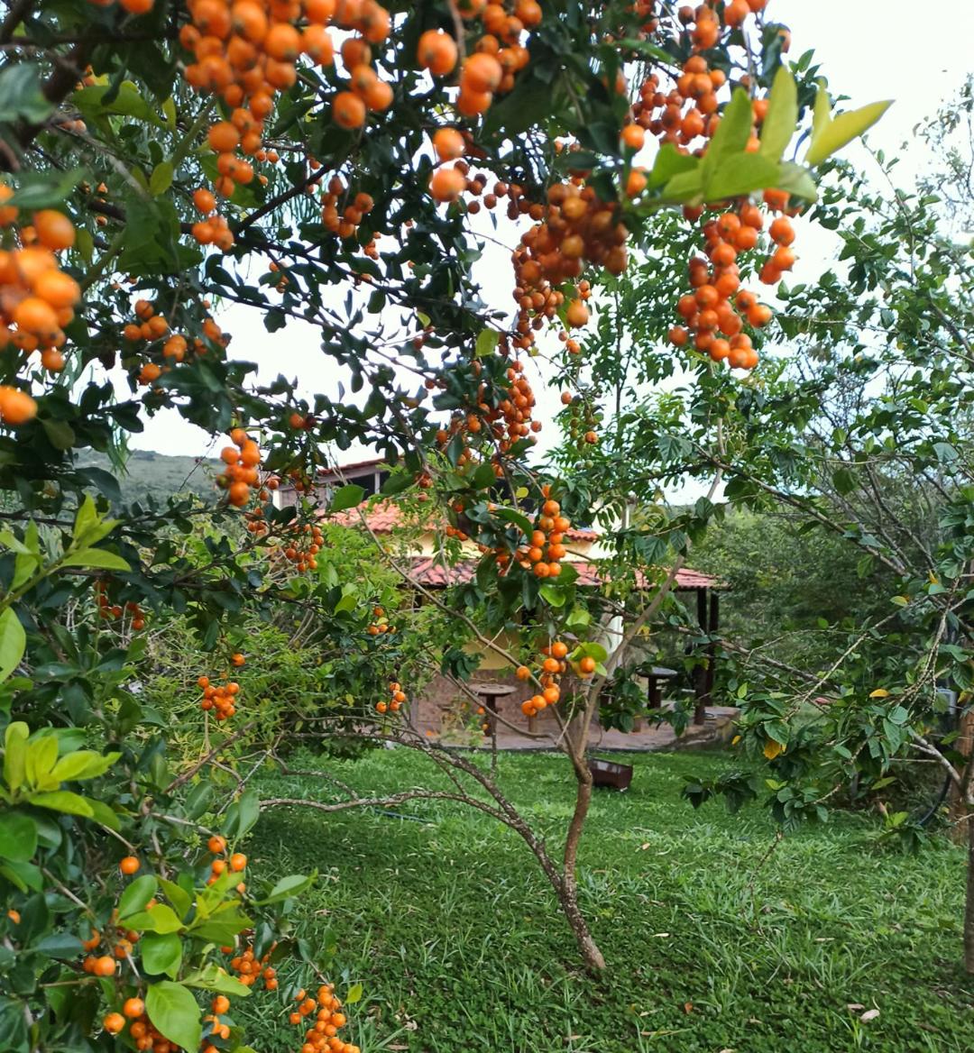 Photo 53