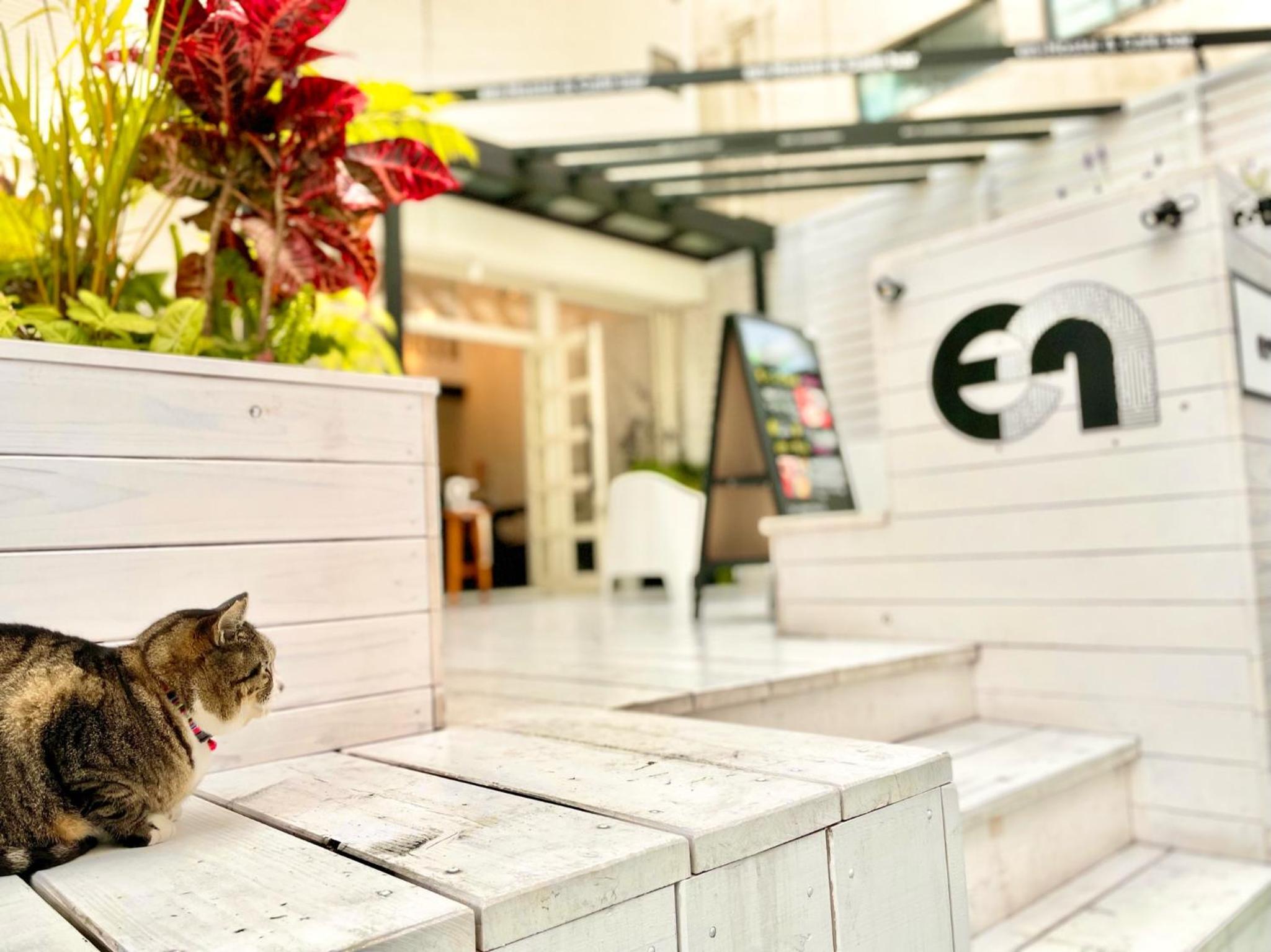 En- Hostel & Café bar, Amami - 19