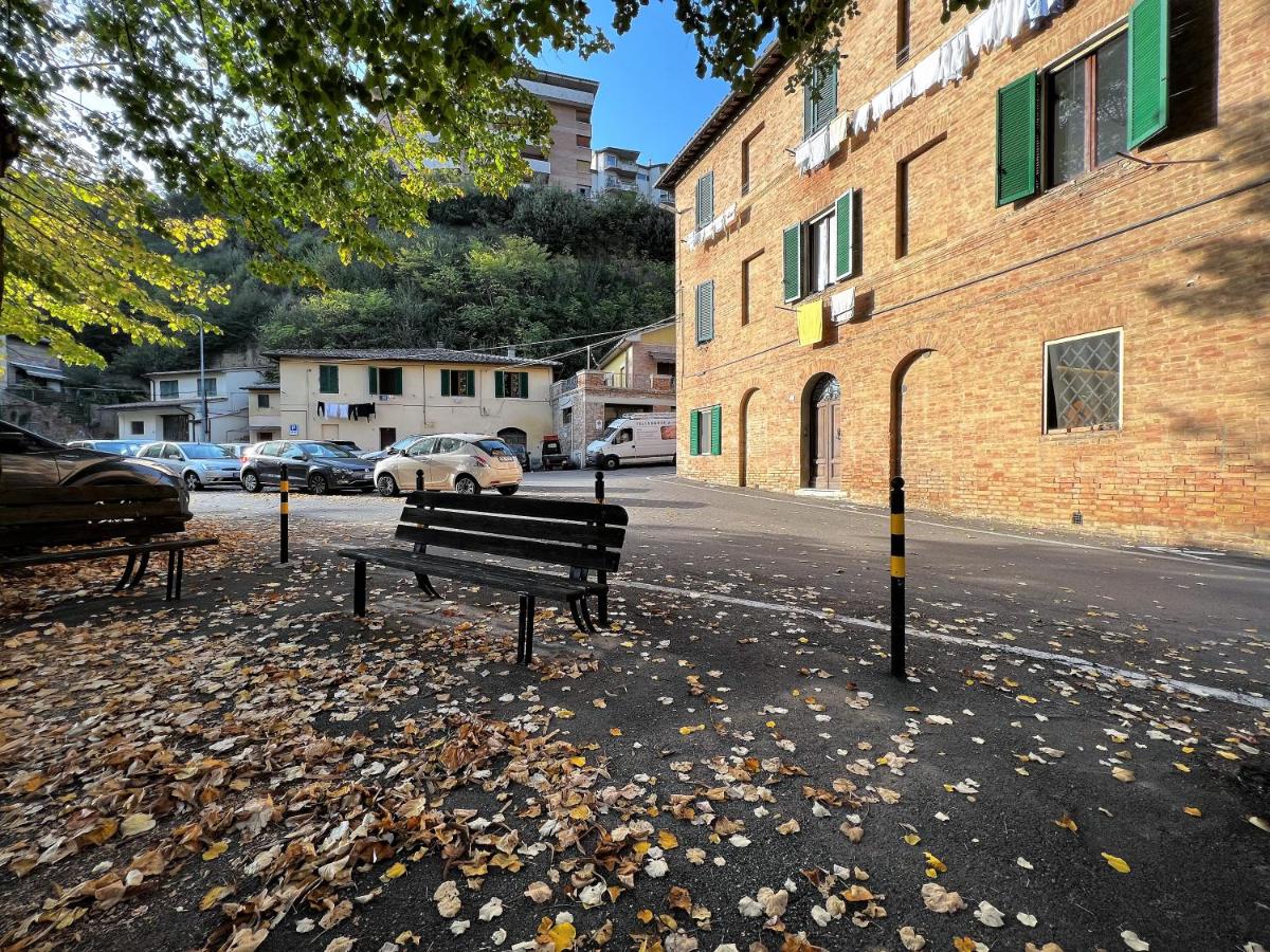 BENVENUTO DA MILENA en Siena — other