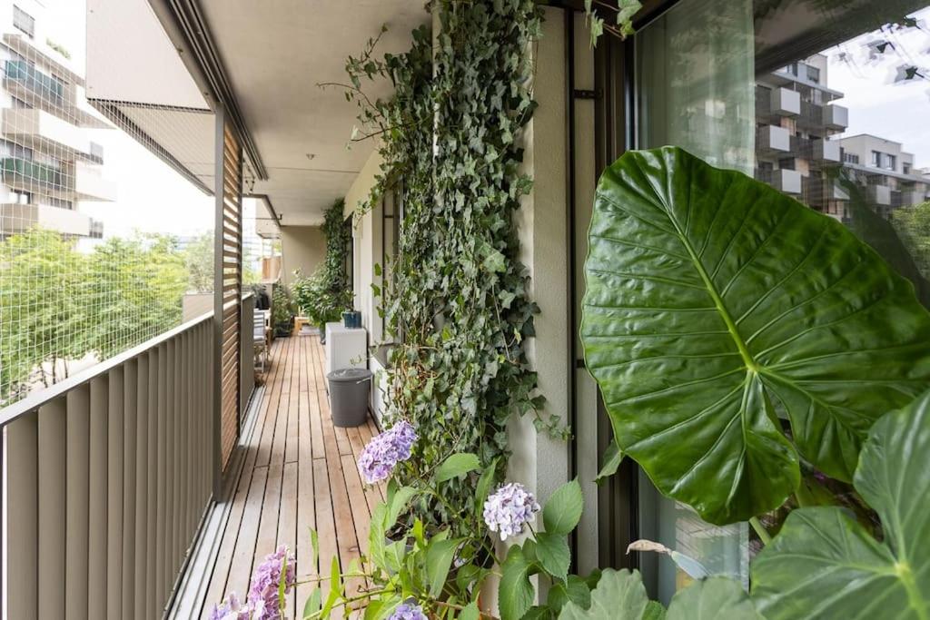 Dream Apartment - central and quiet with AC and free parking garage