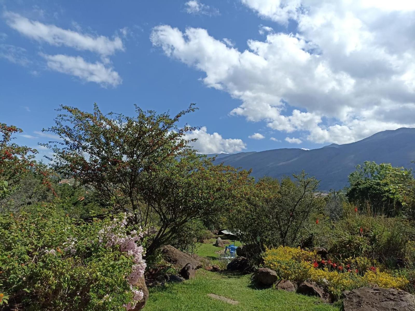 El Hayuelo Ecolodge