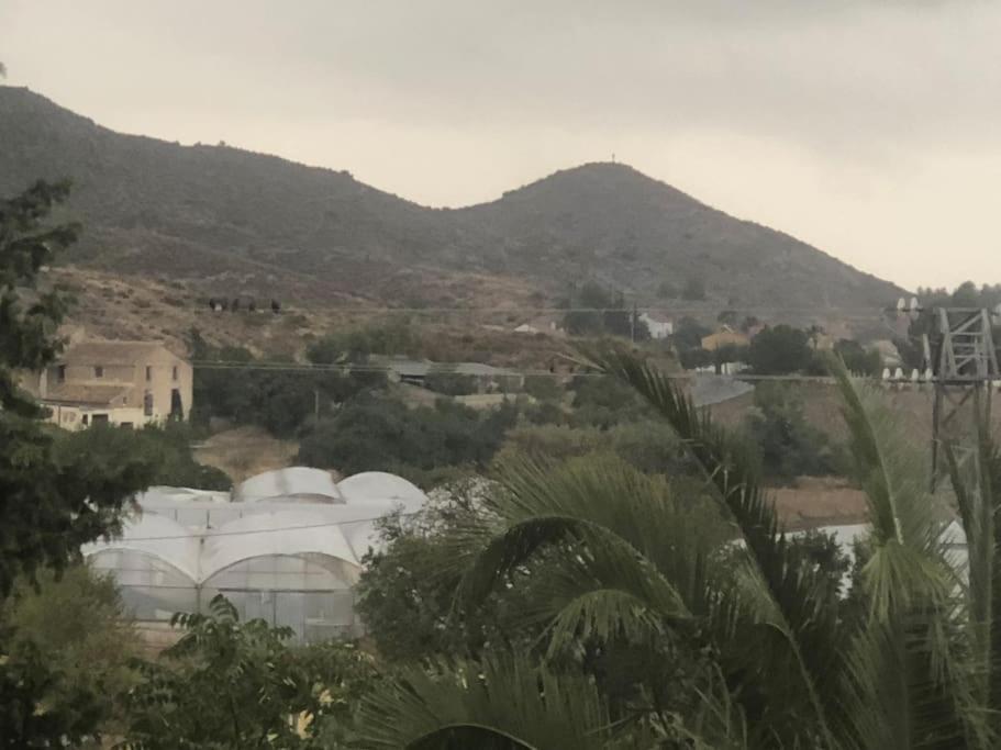 Finca Grace