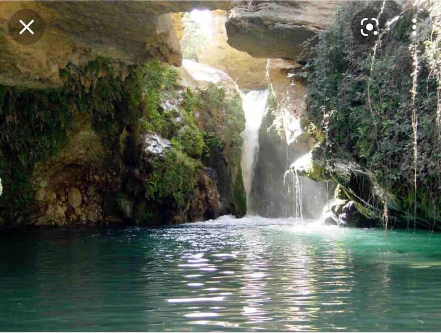 Finca Grace
