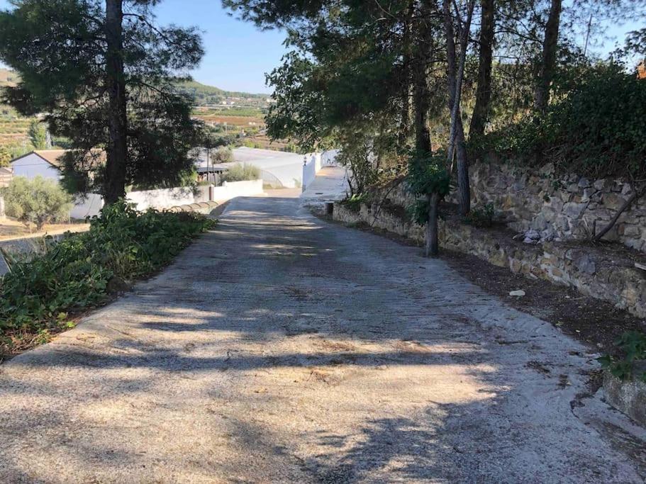 Finca Grace