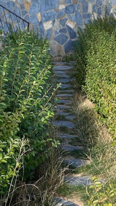 Photo 40