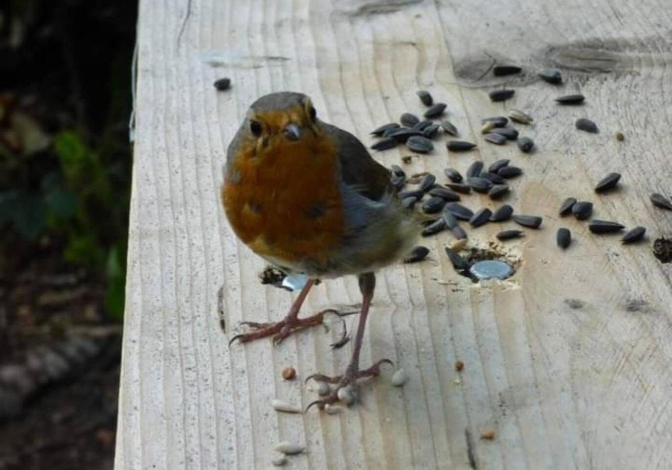 Photo 30