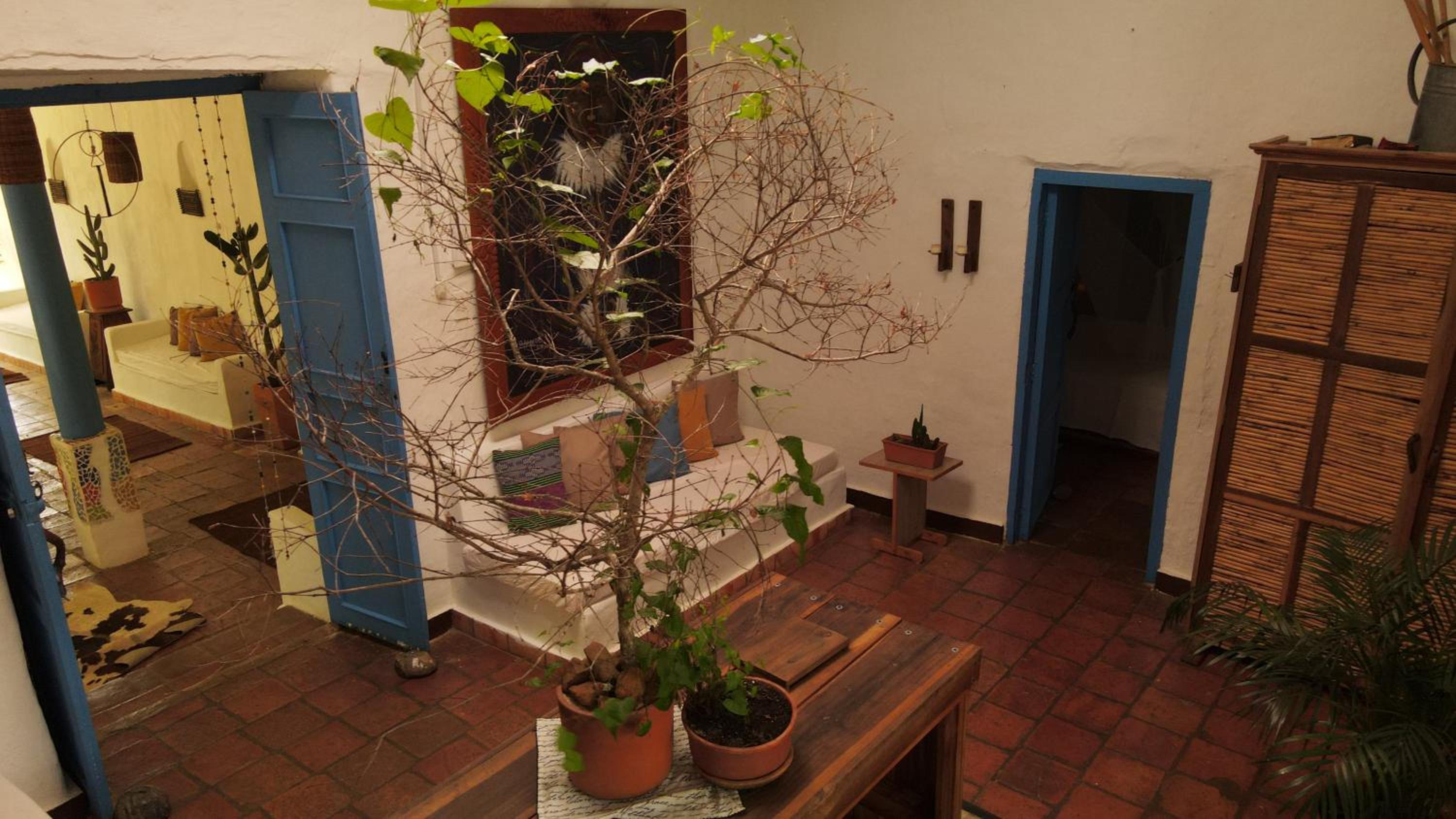 Photo 19