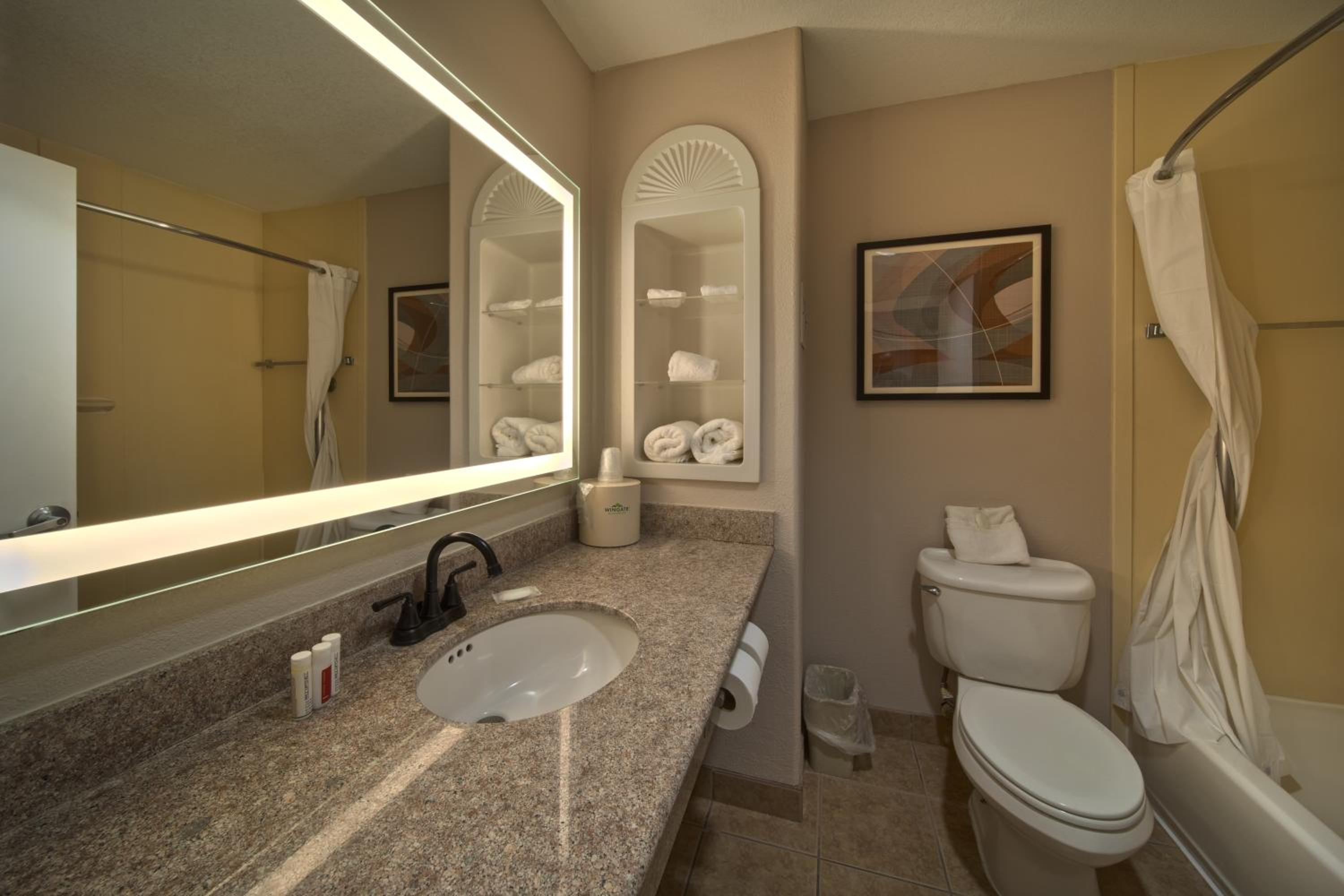 Wingate by Wyndham Houston Bush Intercontinental Airport - Property Image 4
