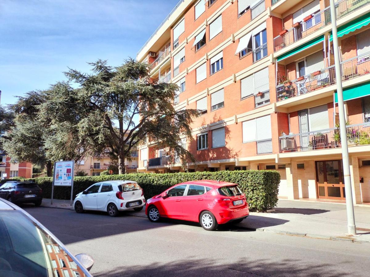 Sunnyside Accademia
