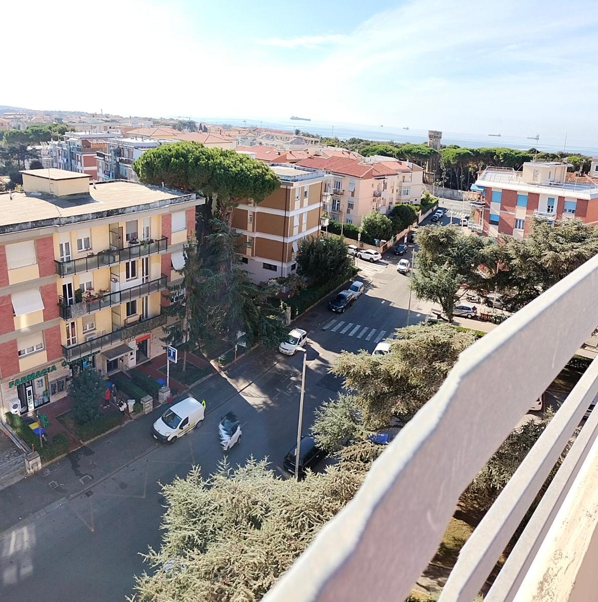 Sunnyside Accademia