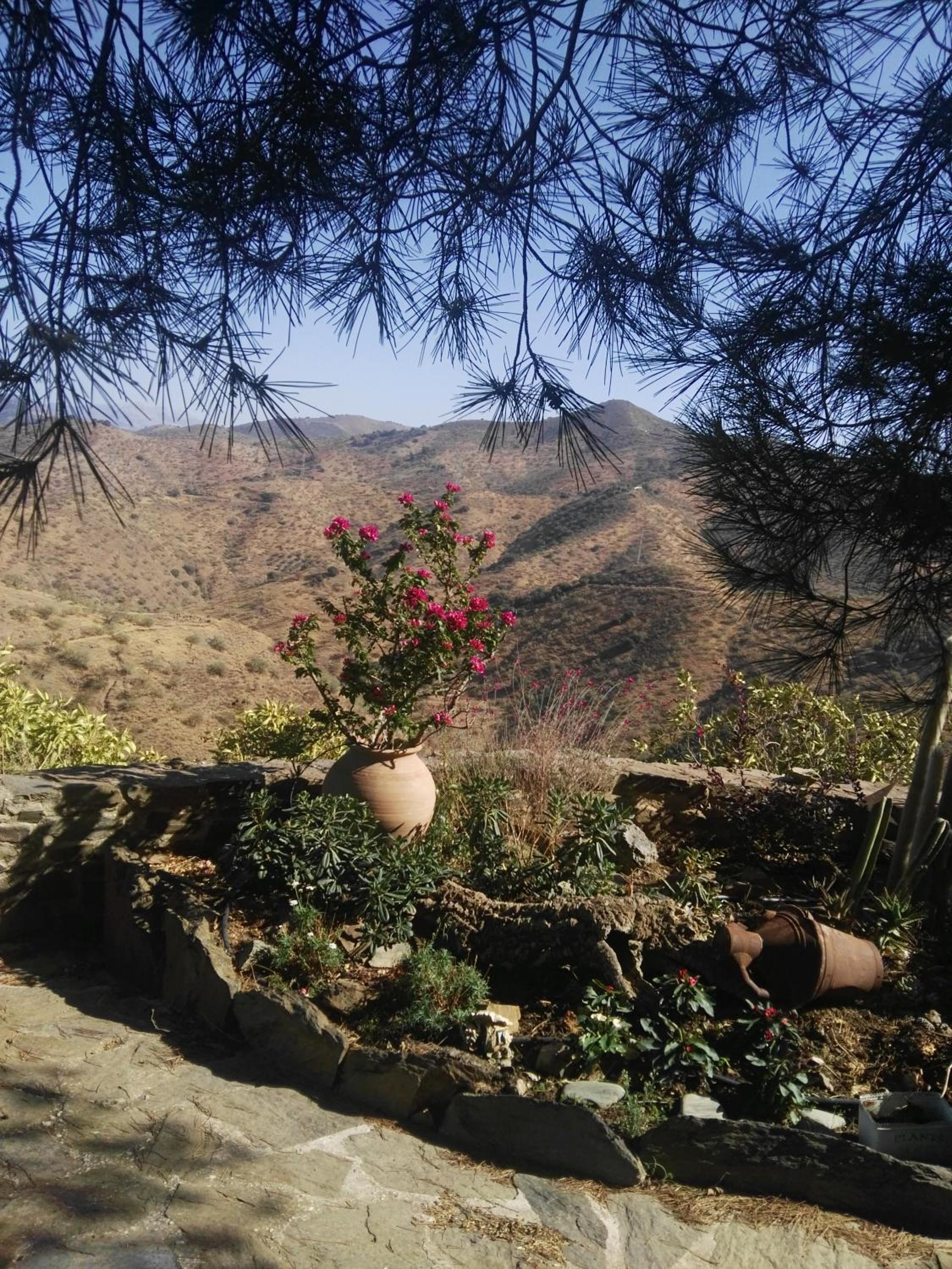 Pinar El Almendra