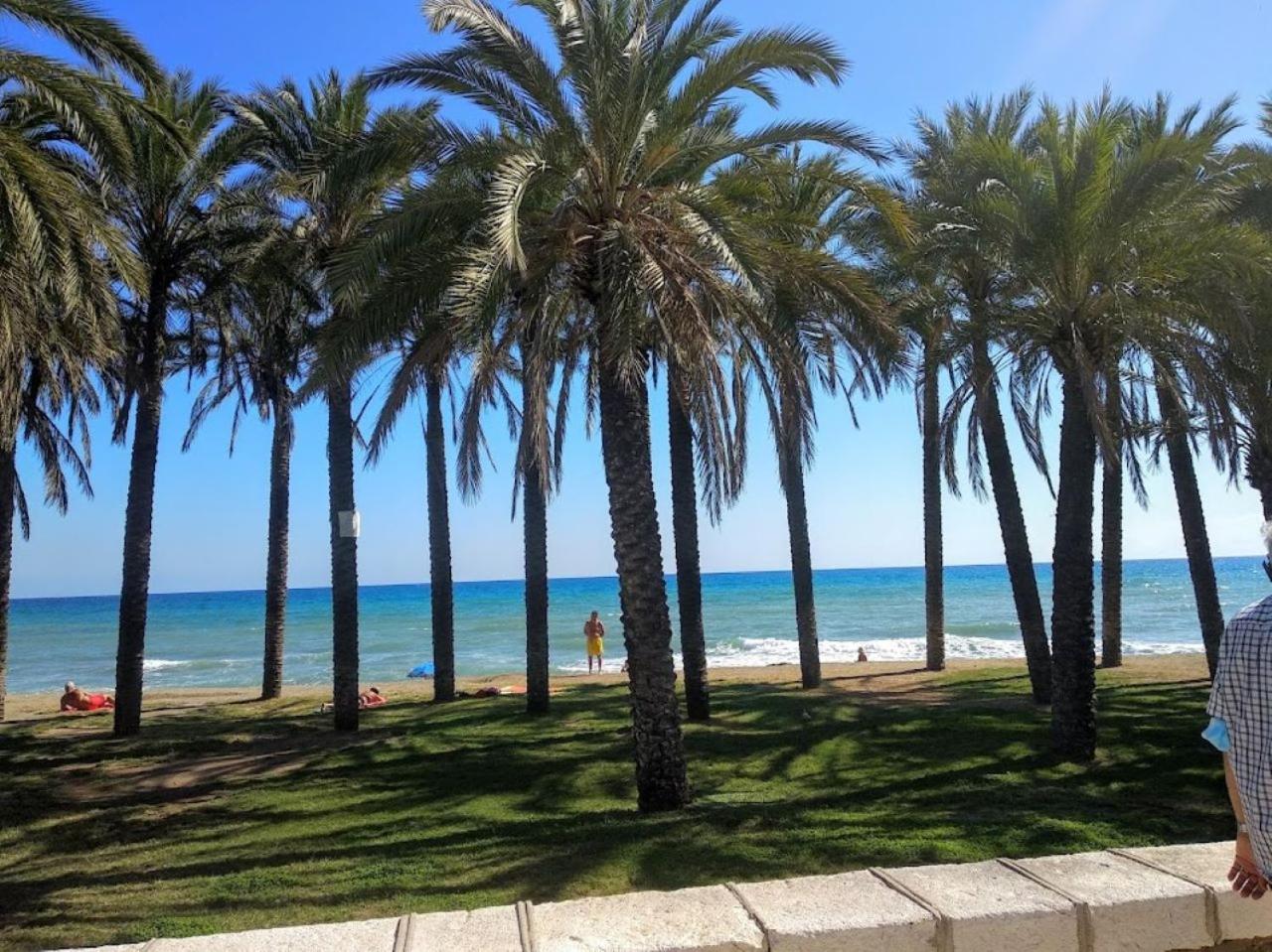 NOGALERA photo 2