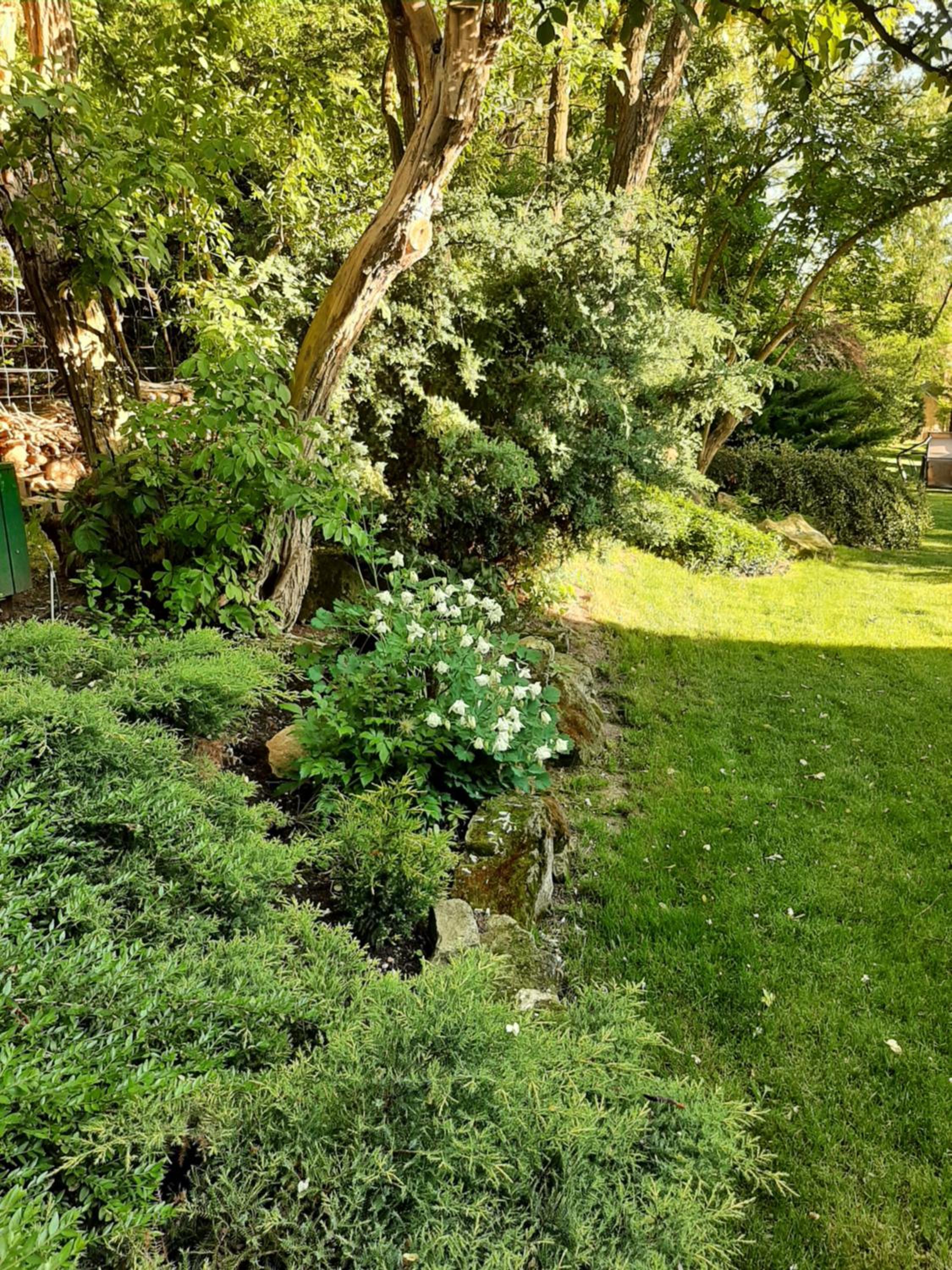 Photo 48