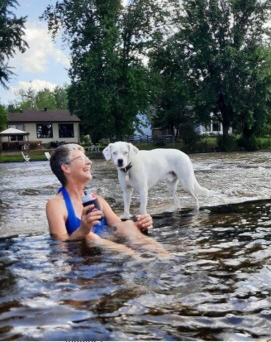 Cozy Waterfront Cottage, WiFi-Netflix-Dog Friendly
