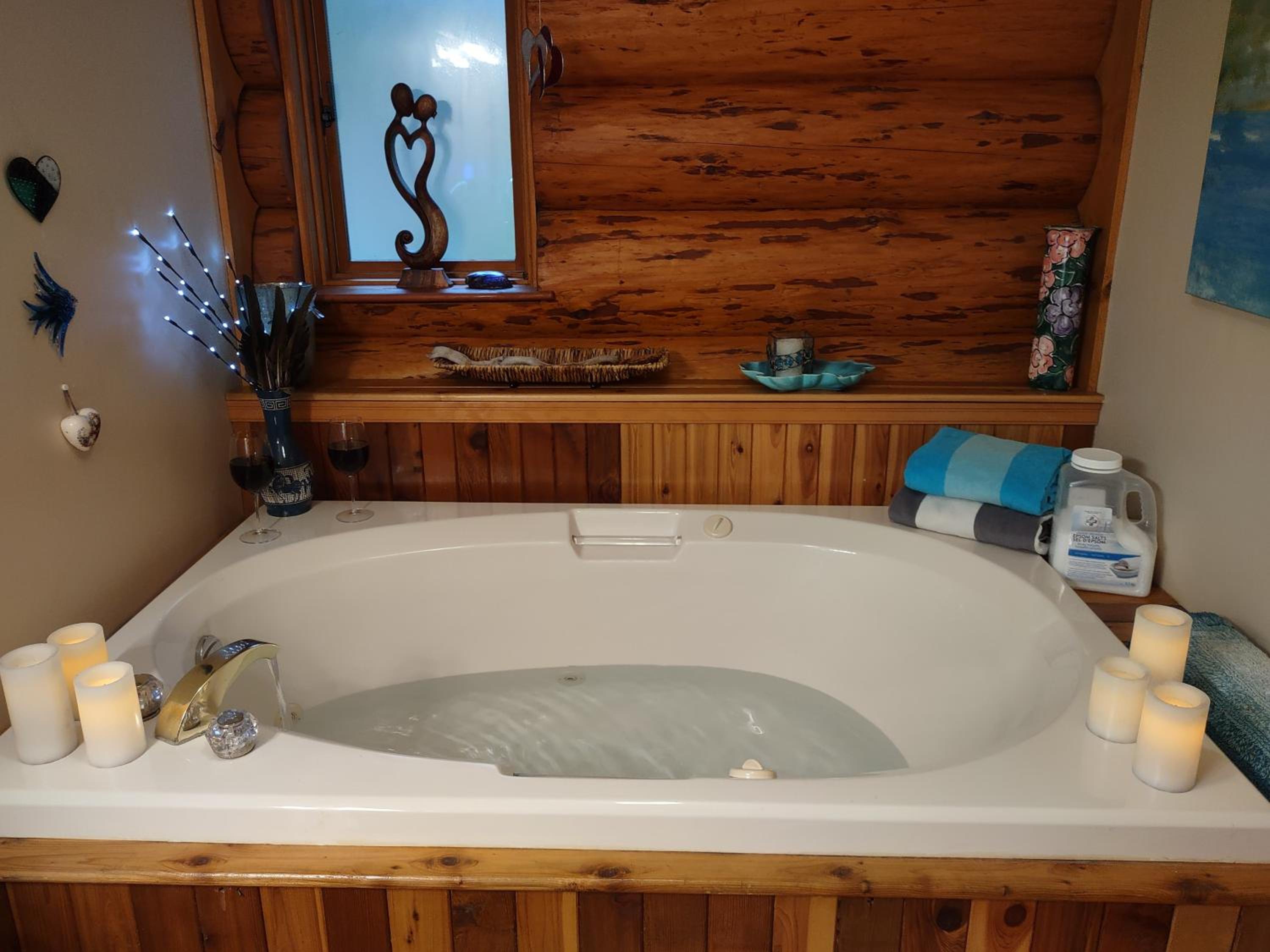 Union Bay Log Home