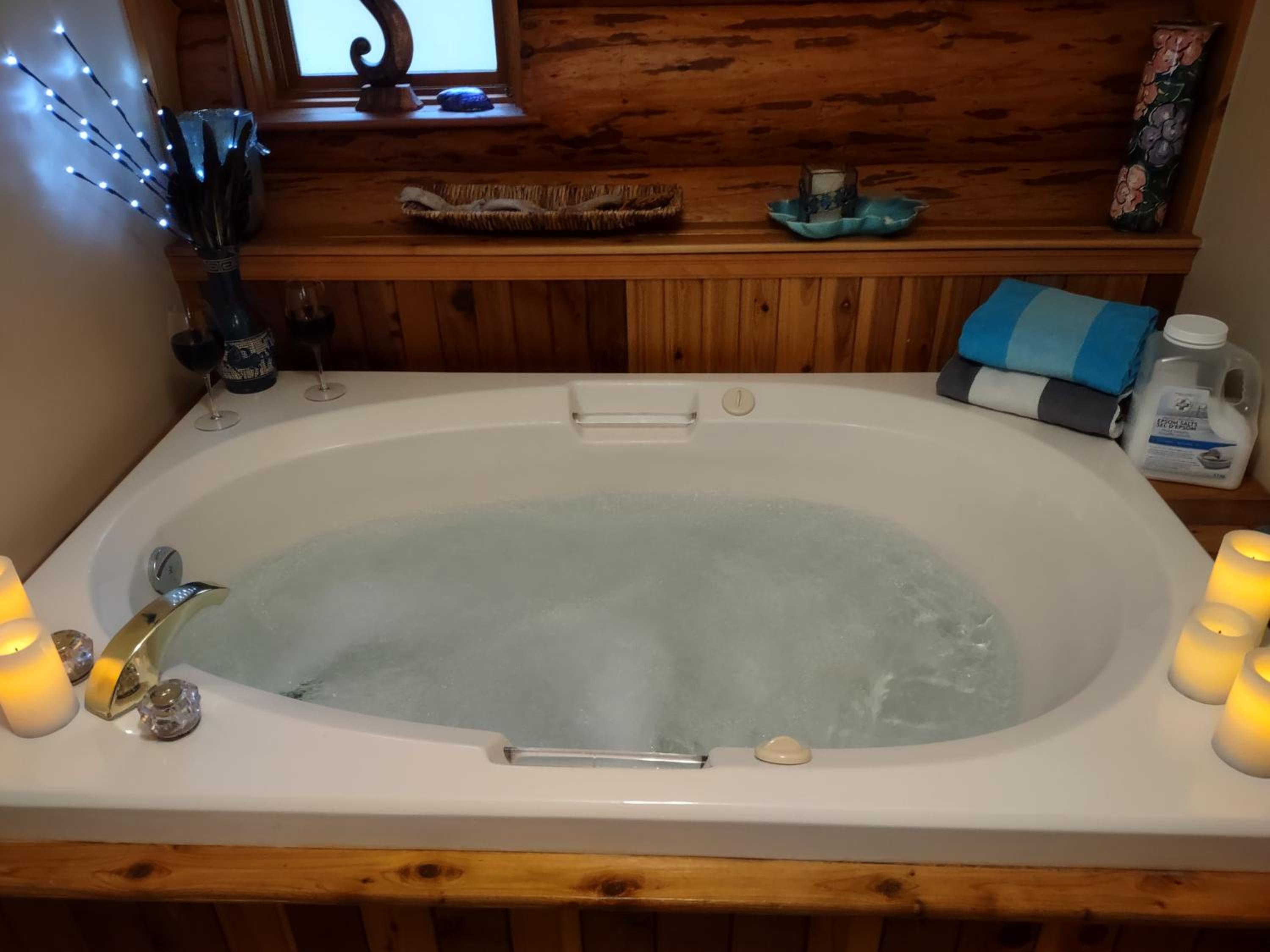 Union Bay Log Home