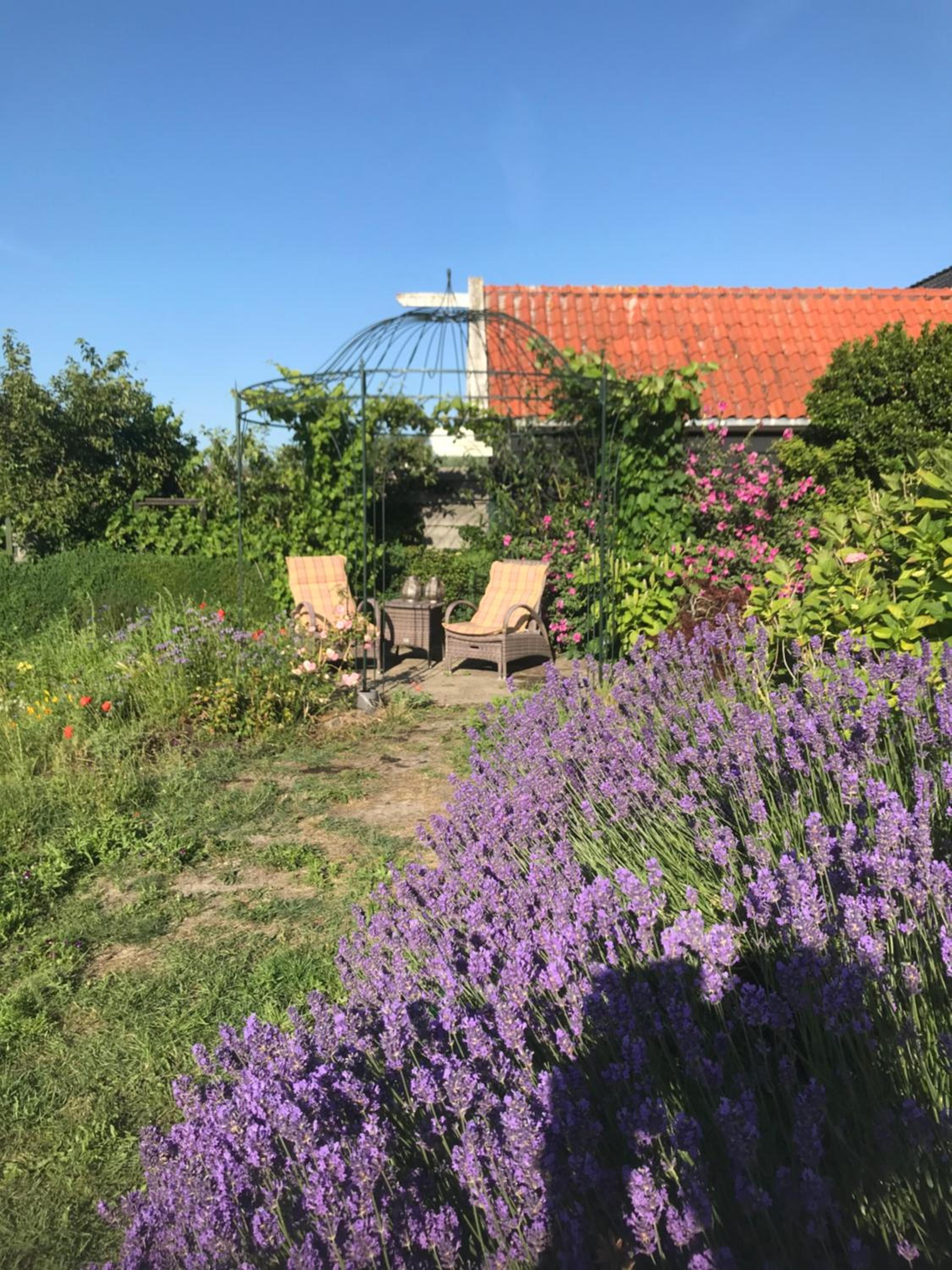 Photo 18