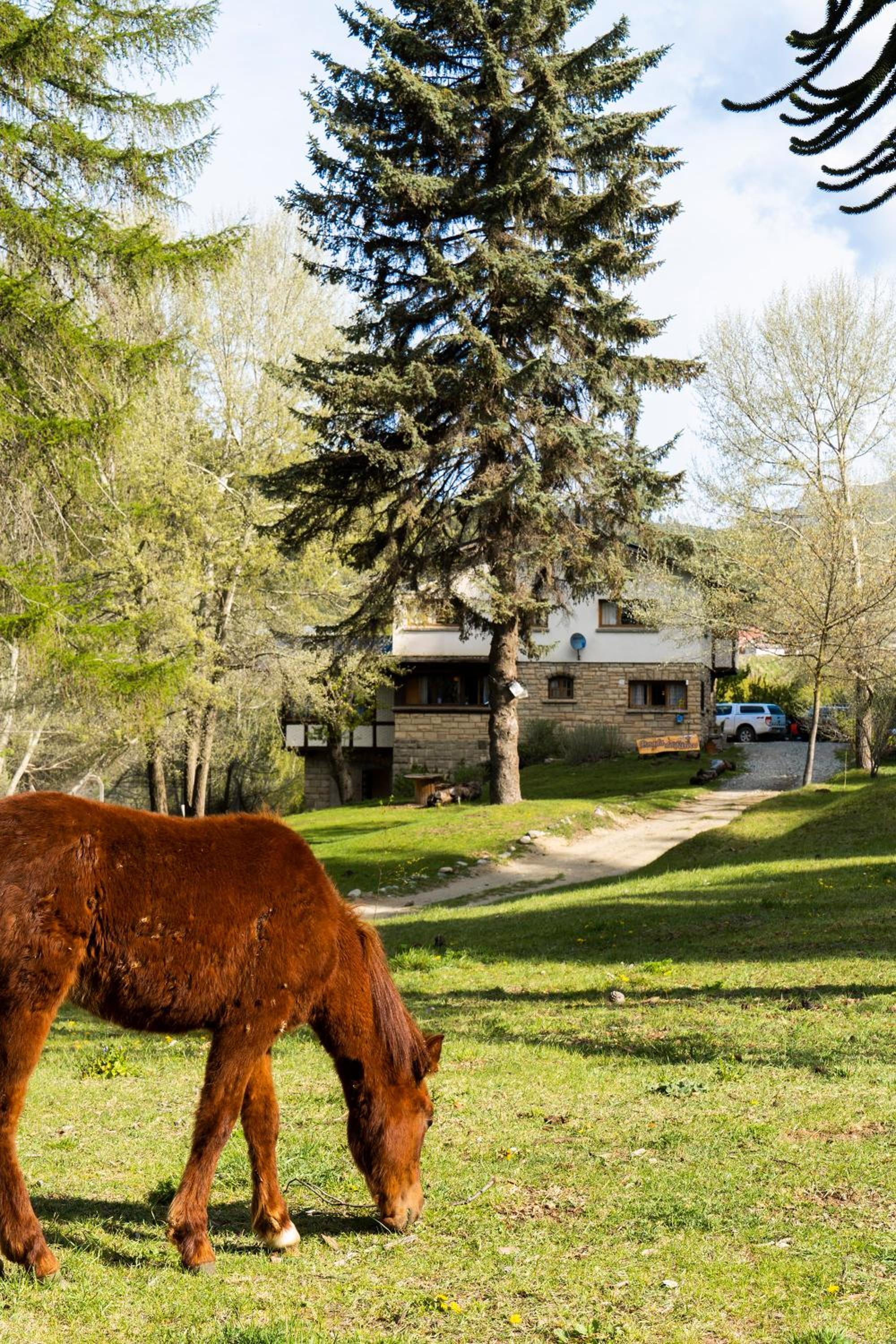 Posada del Ñireco