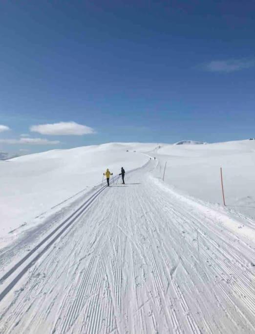 Fjelltun Lodge