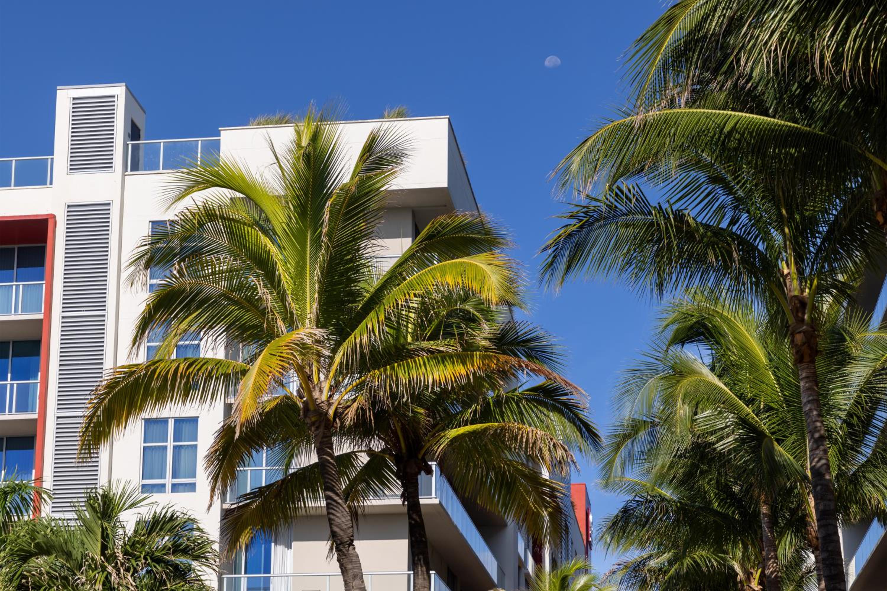 Costa Hollywood Beach Resort - An All Suite Hotel