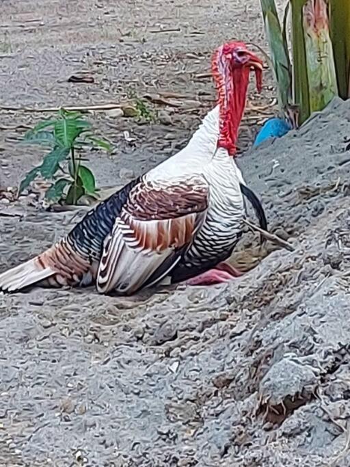 Finca Agroturística La Sultana