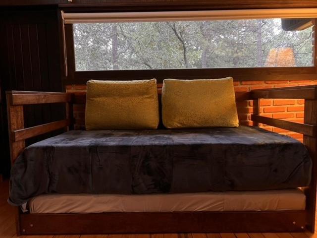 Photo 43