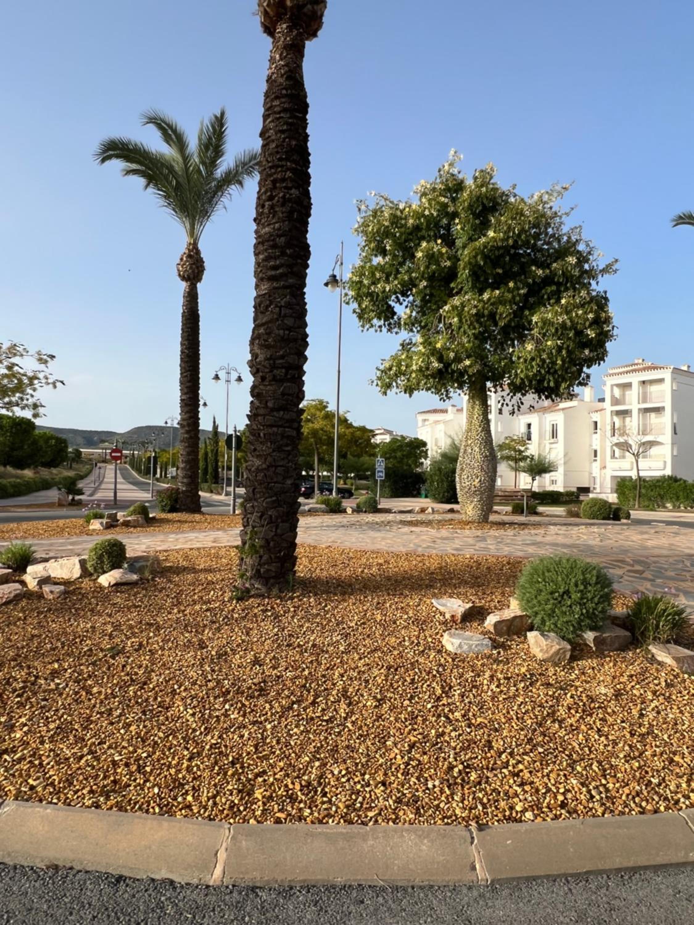 Apartment in Hacienda Riquelme Golf Resort