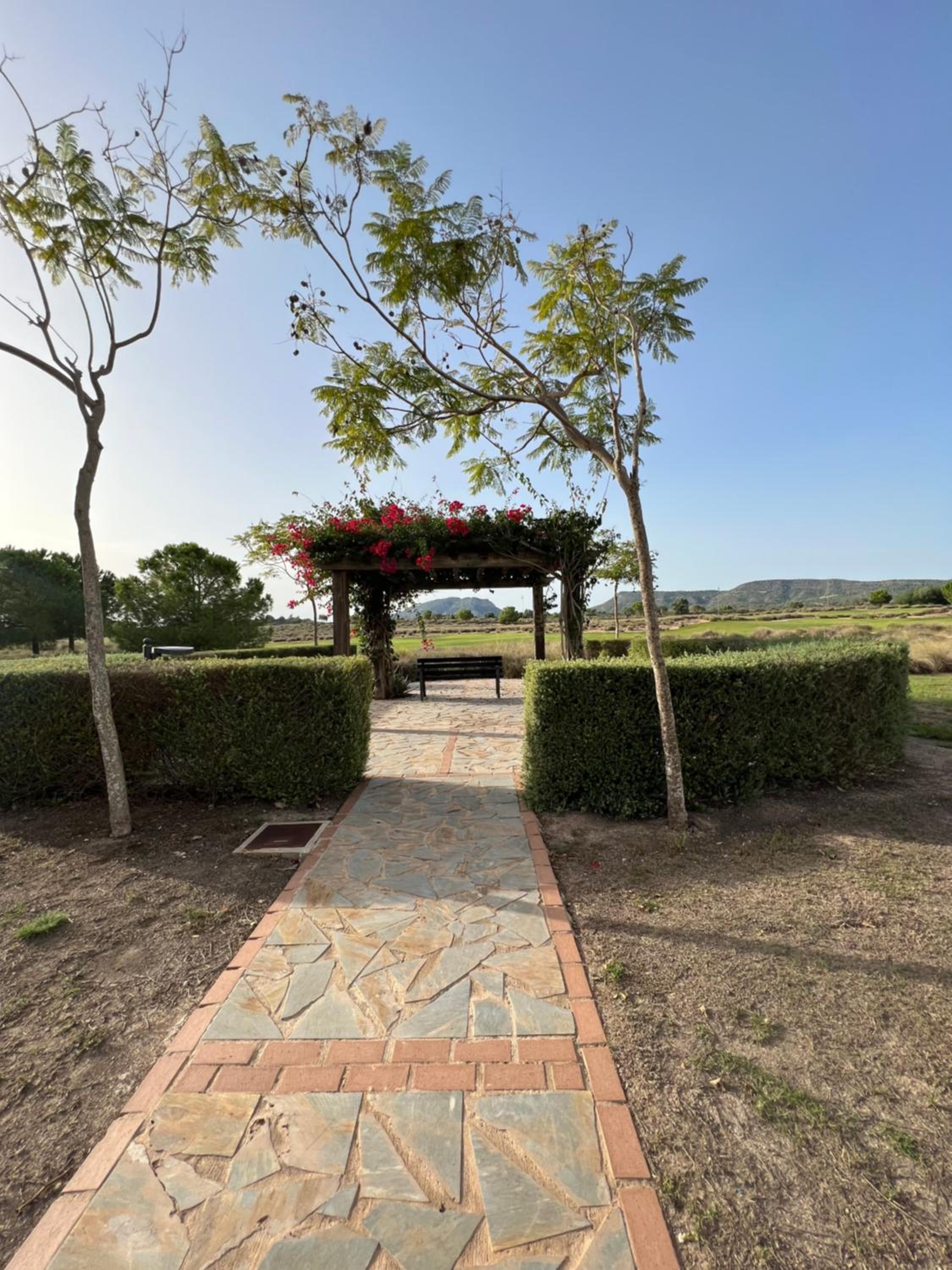 Apartment in Hacienda Riquelme Golf Resort