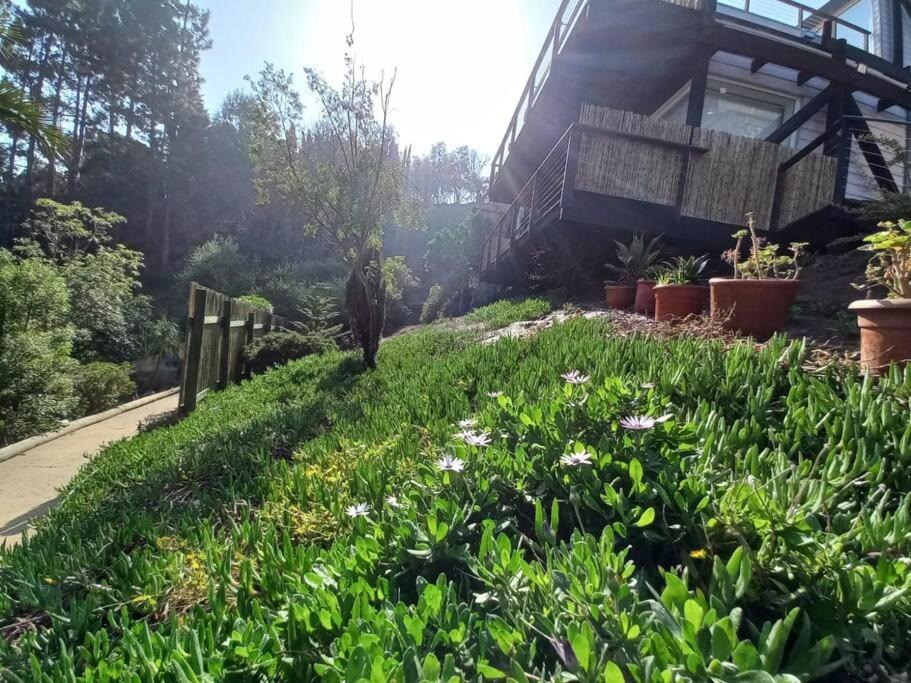 Espectacular Loft en Zapallar