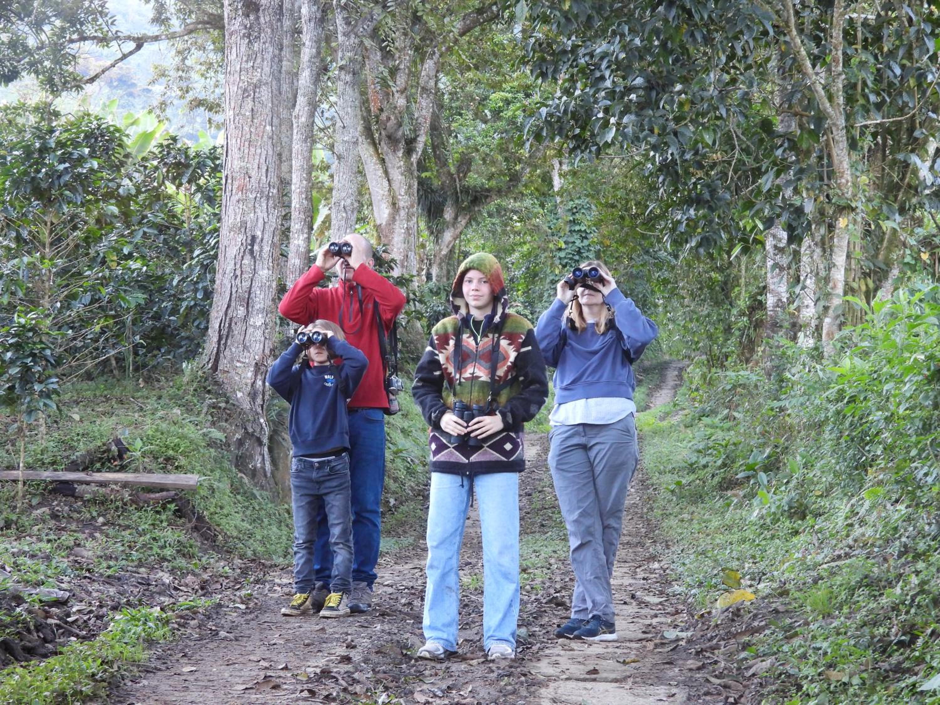 Finca TRADICIONAL EL OTOÑO