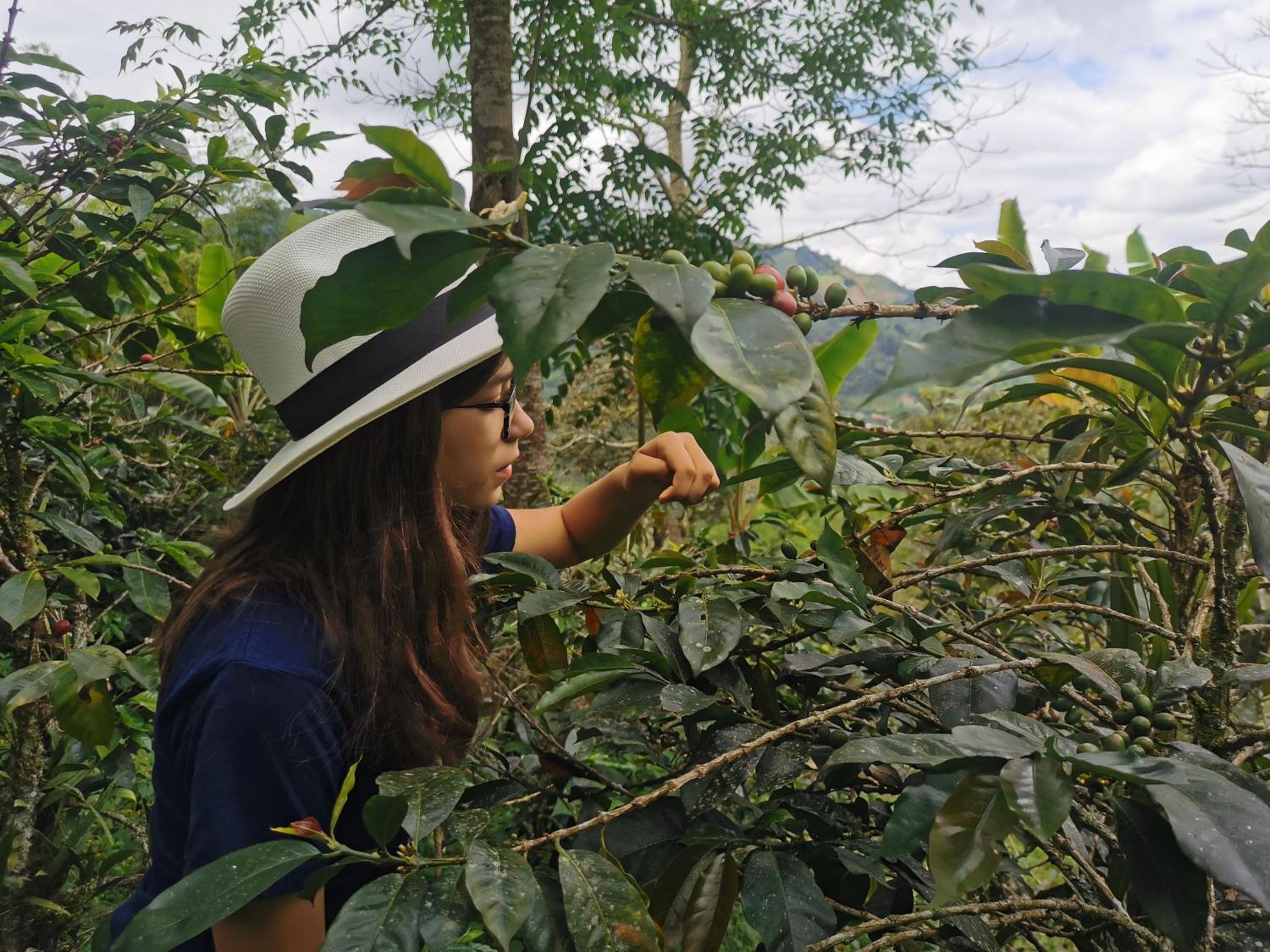 Finca TRADICIONAL EL OTOÑO
