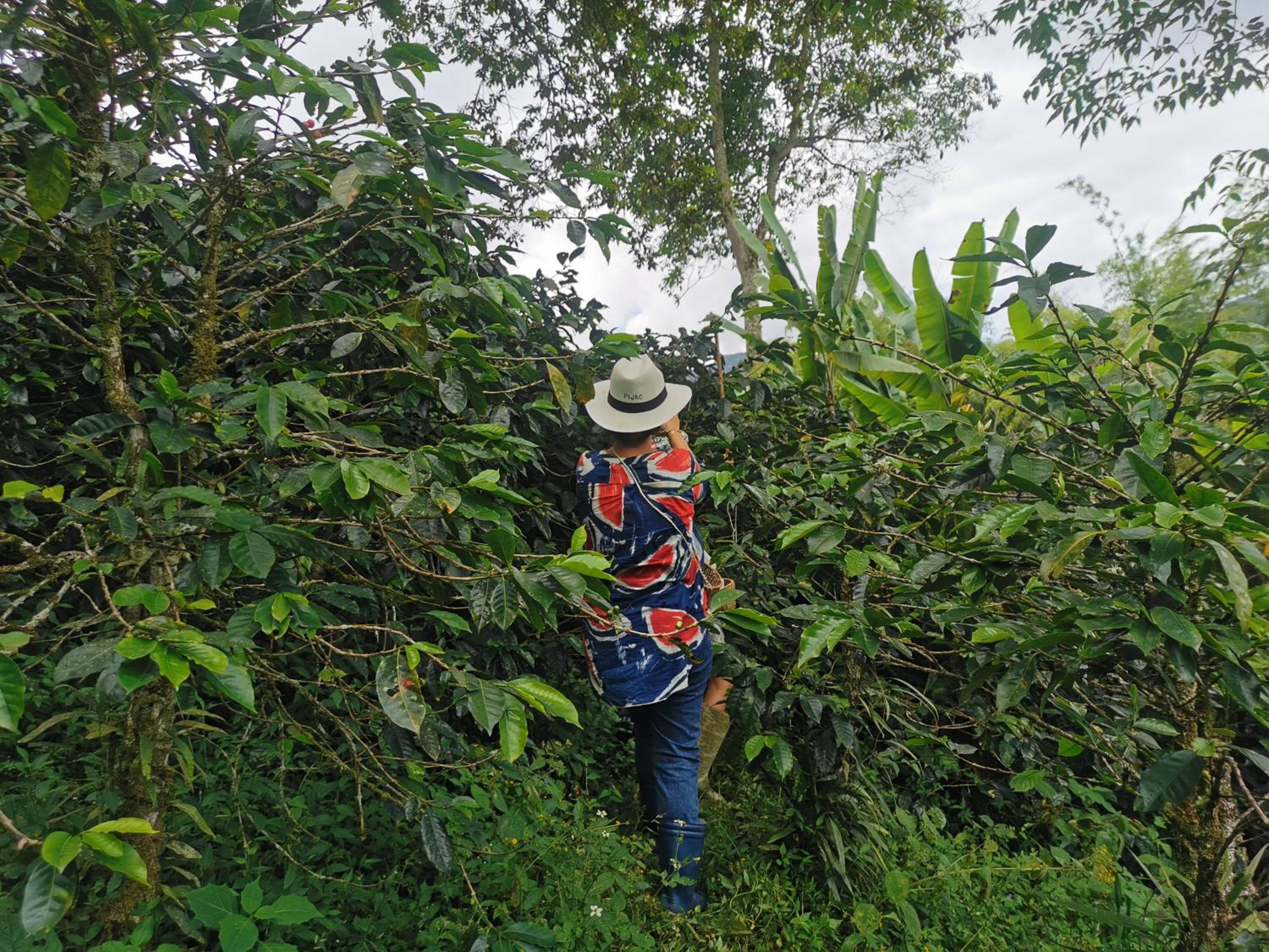 Finca TRADICIONAL EL OTOÑO
