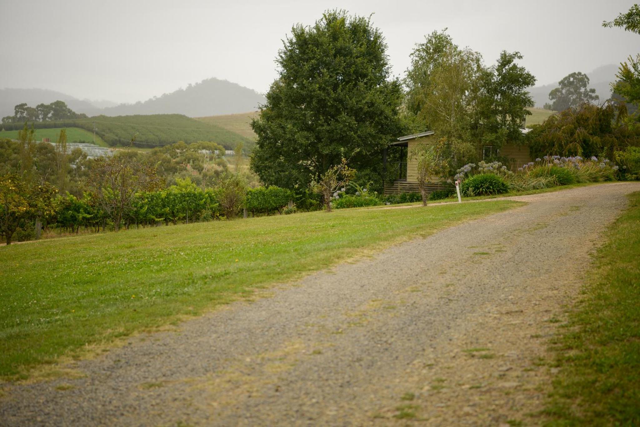 Borrodell Vineyard