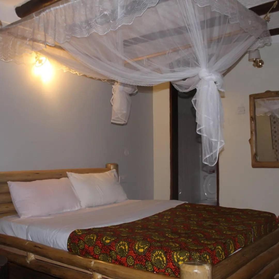 Elite Backpackers Services